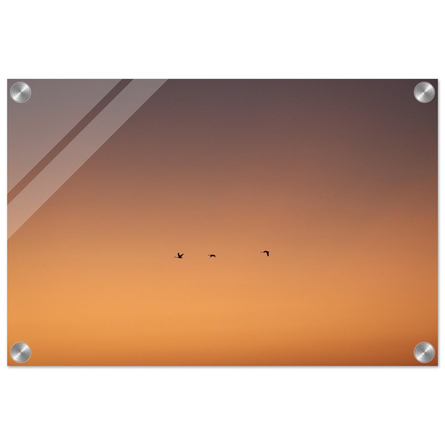 b1dd7bef-b861-4999-8b44-741e1981ef04