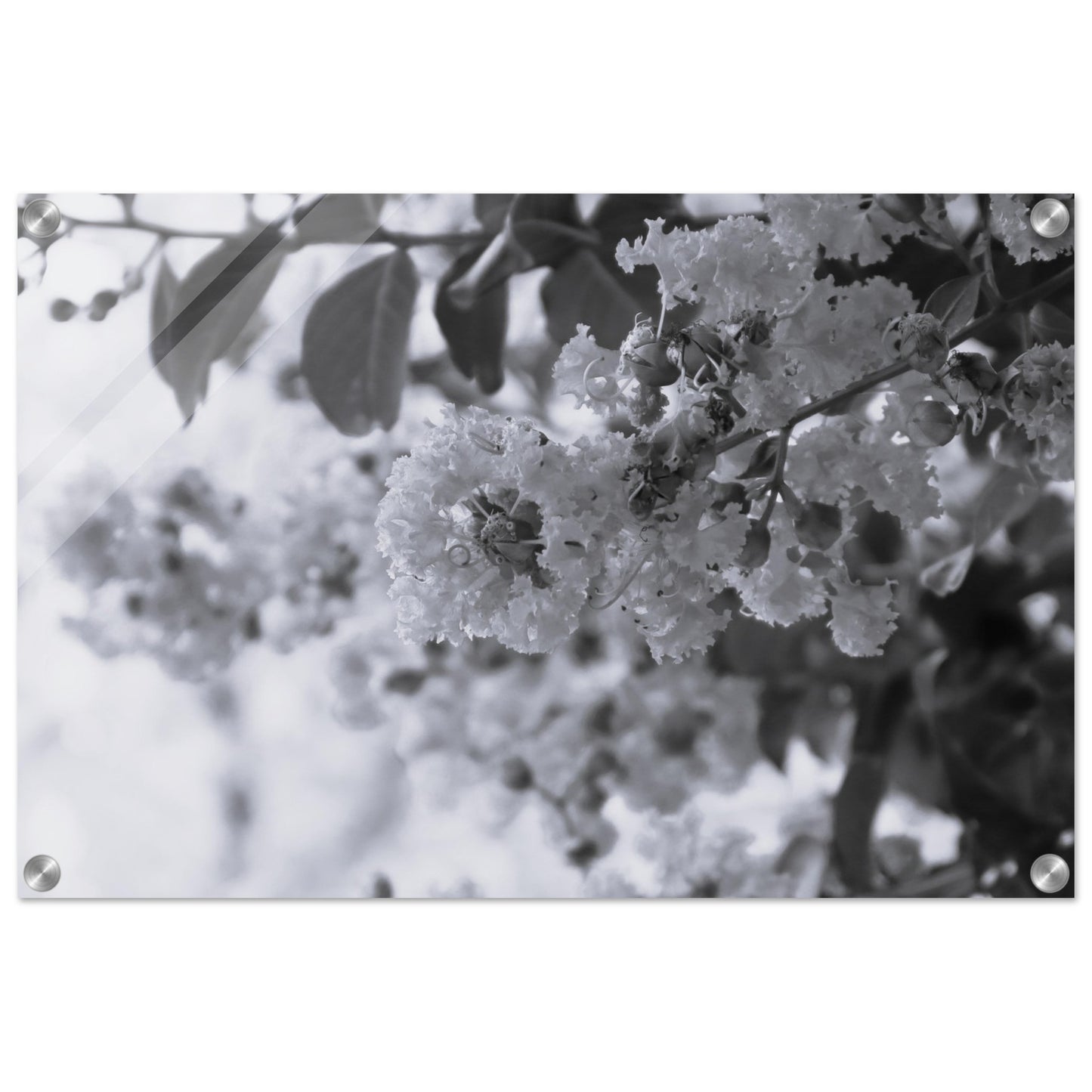 b1e0e613-ab56-4499-9b92-5673c688b430