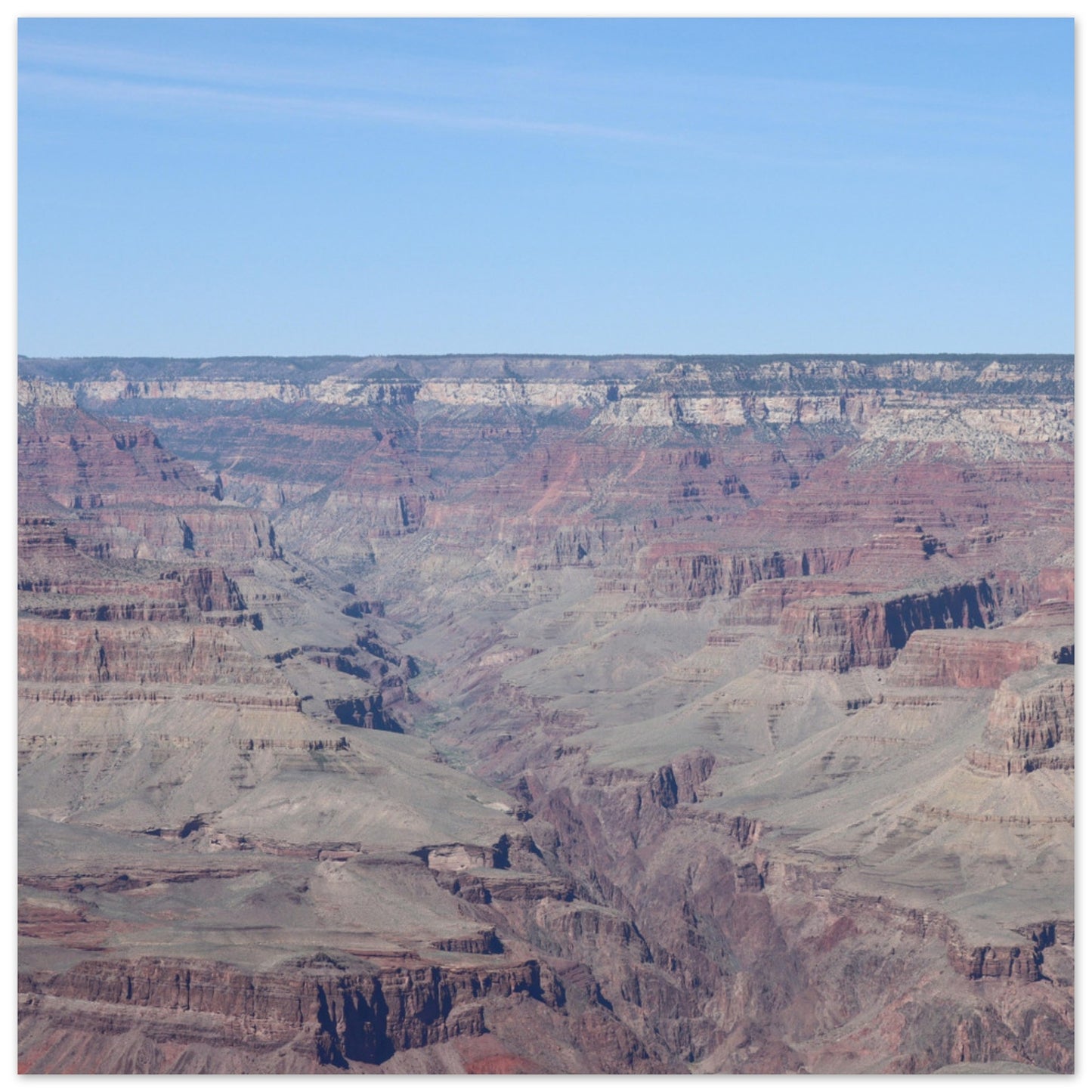 b347e268-f6a7-4973-9804-86e53f2437bc