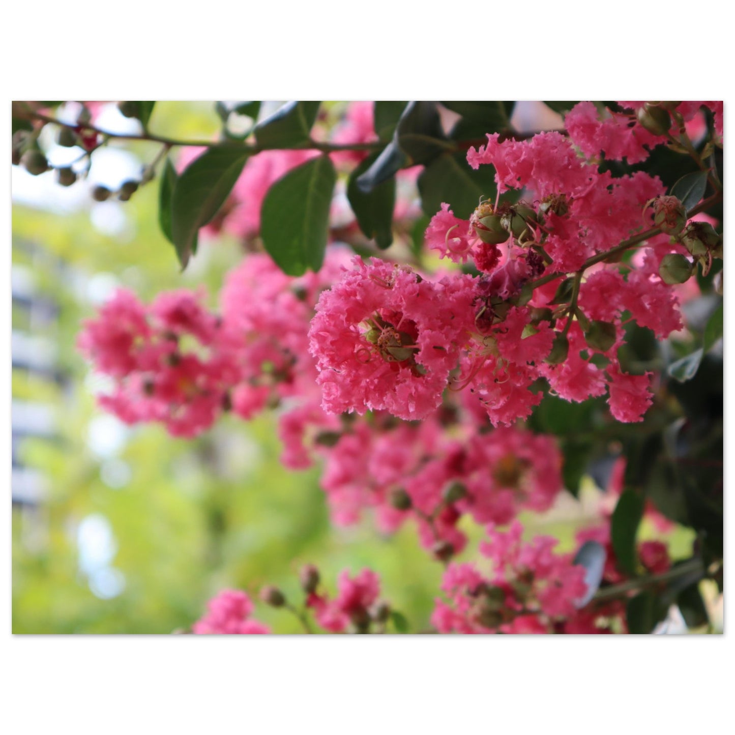 b53fcdb3-1717-4372-ad45-e4c501c2698e