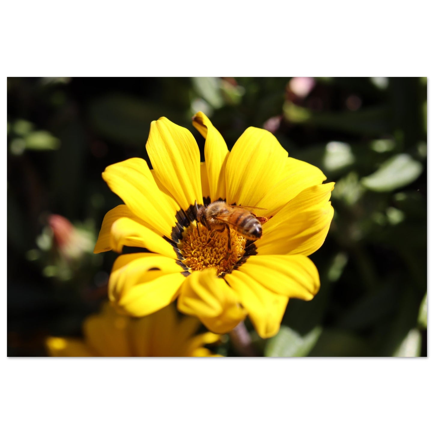 b63882ce-83d1-4e95-8e04-64757f96c275