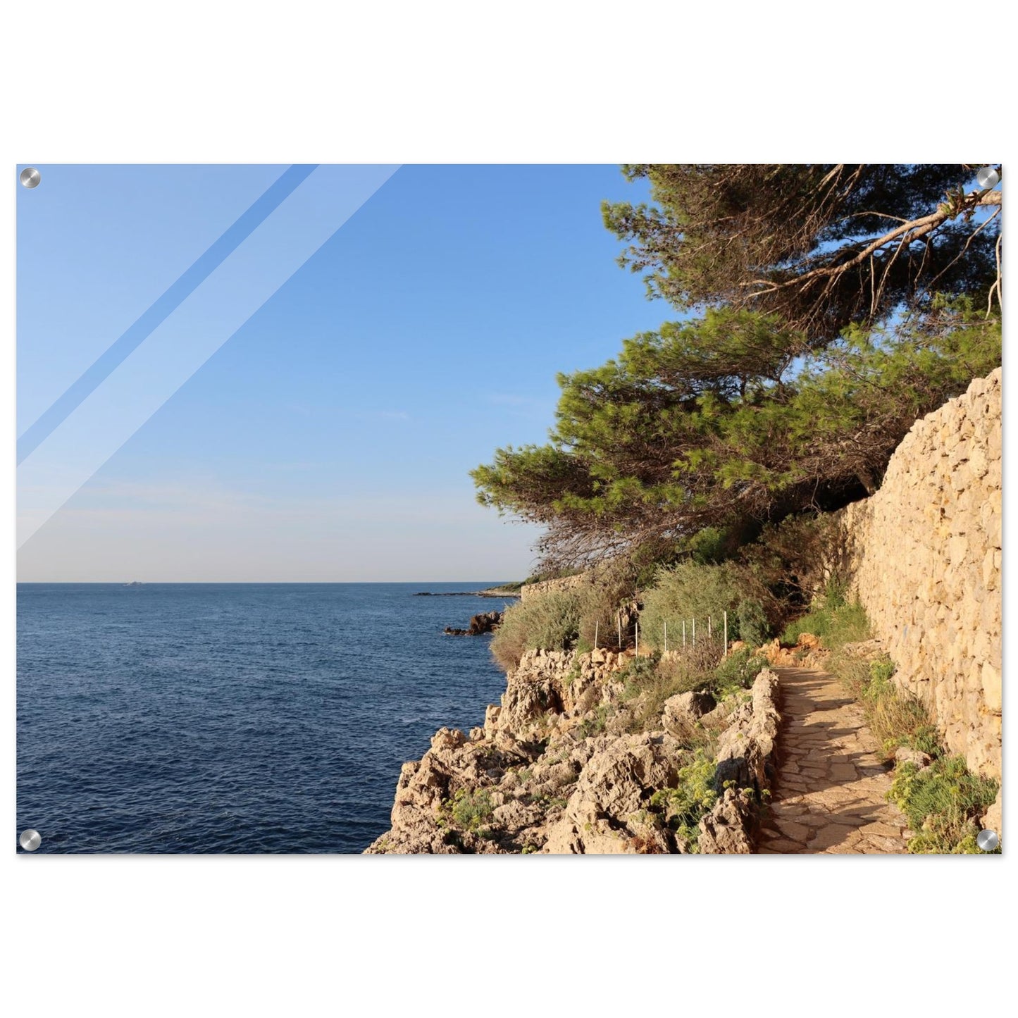 b6bf03db-855e-4ee1-ade4-f14b807b4041