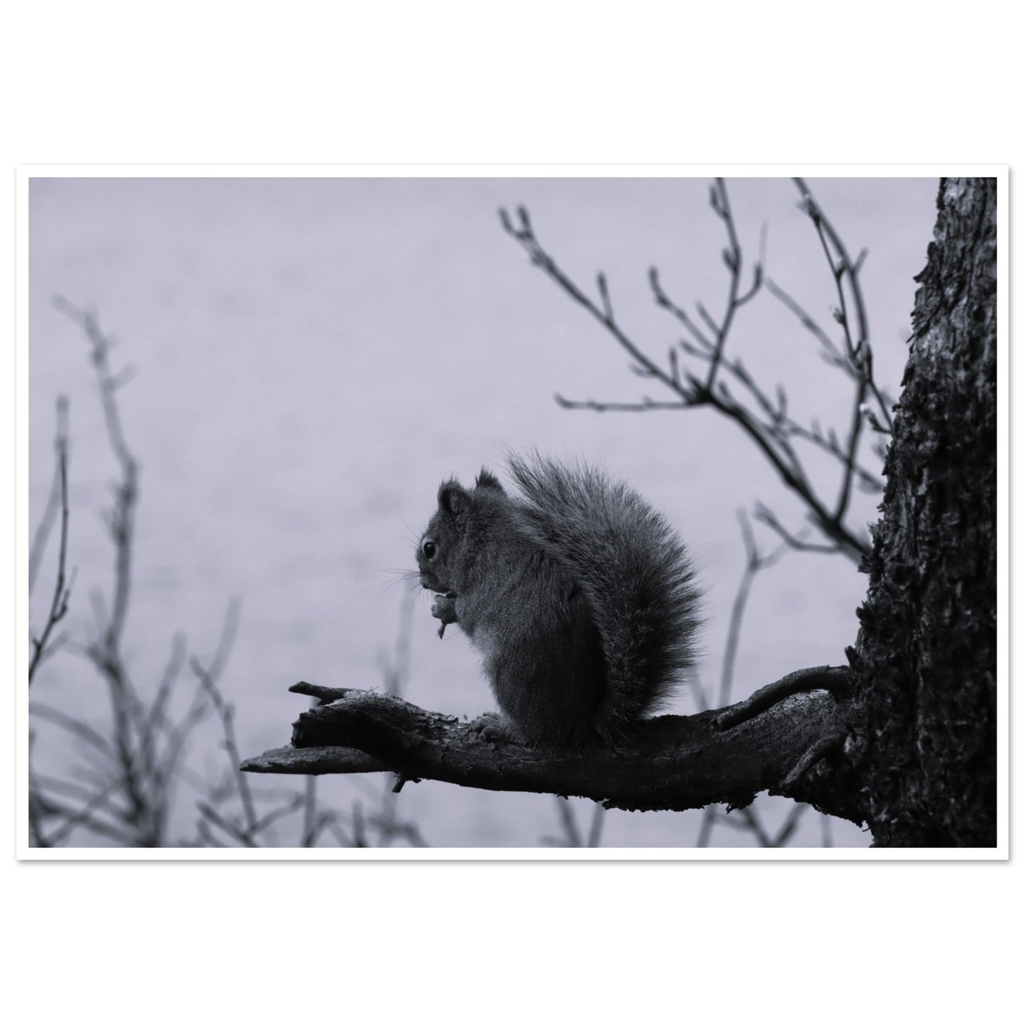 b6f781c1-7198-4afe-a7bc-9d6e18ac9be0