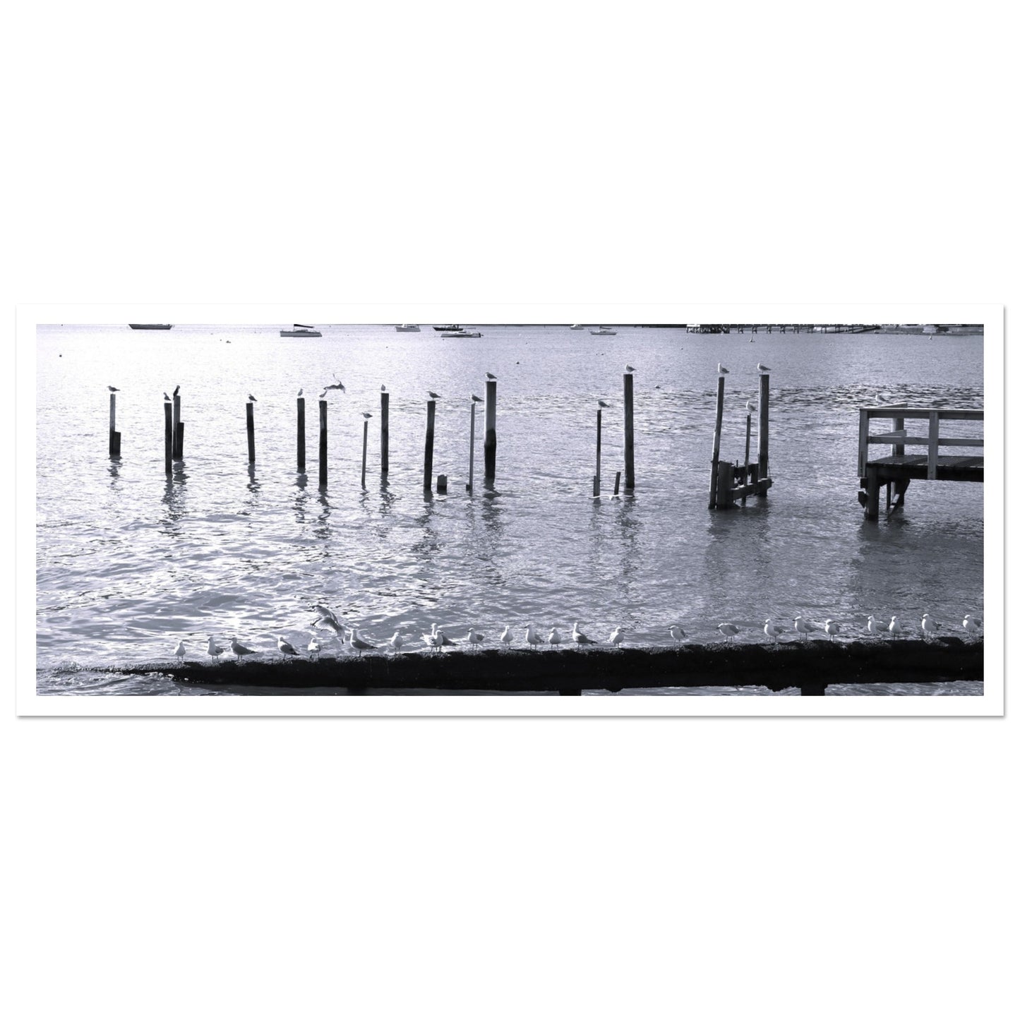 b7b79135-f3eb-4b6d-9528-7bdea84c145b