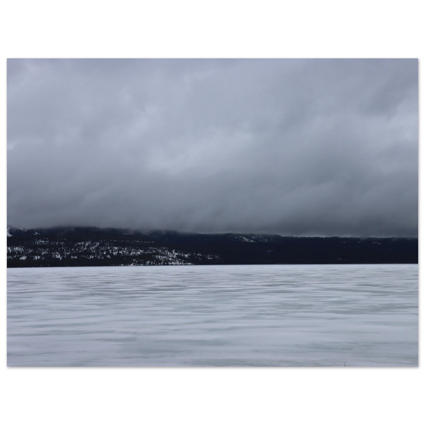 b8260857-c9e2-4372-92f1-088791064951