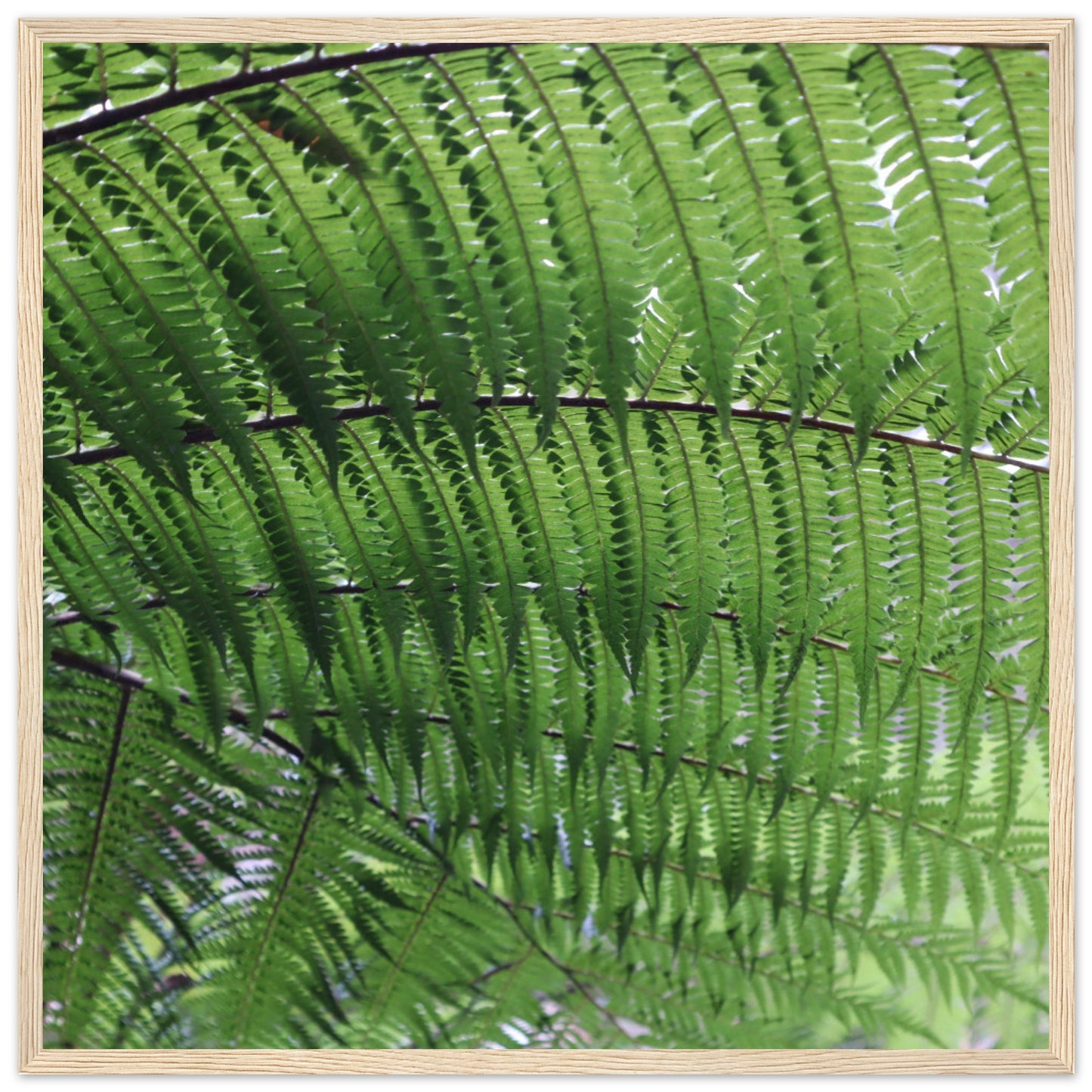 ba4be775-9f37-4542-82e4-83e3048b6301