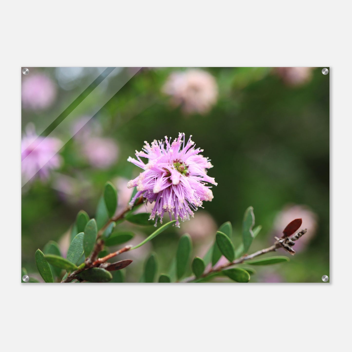 bac46f80-b160-47cb-8c2f-c3b9e3dca3de