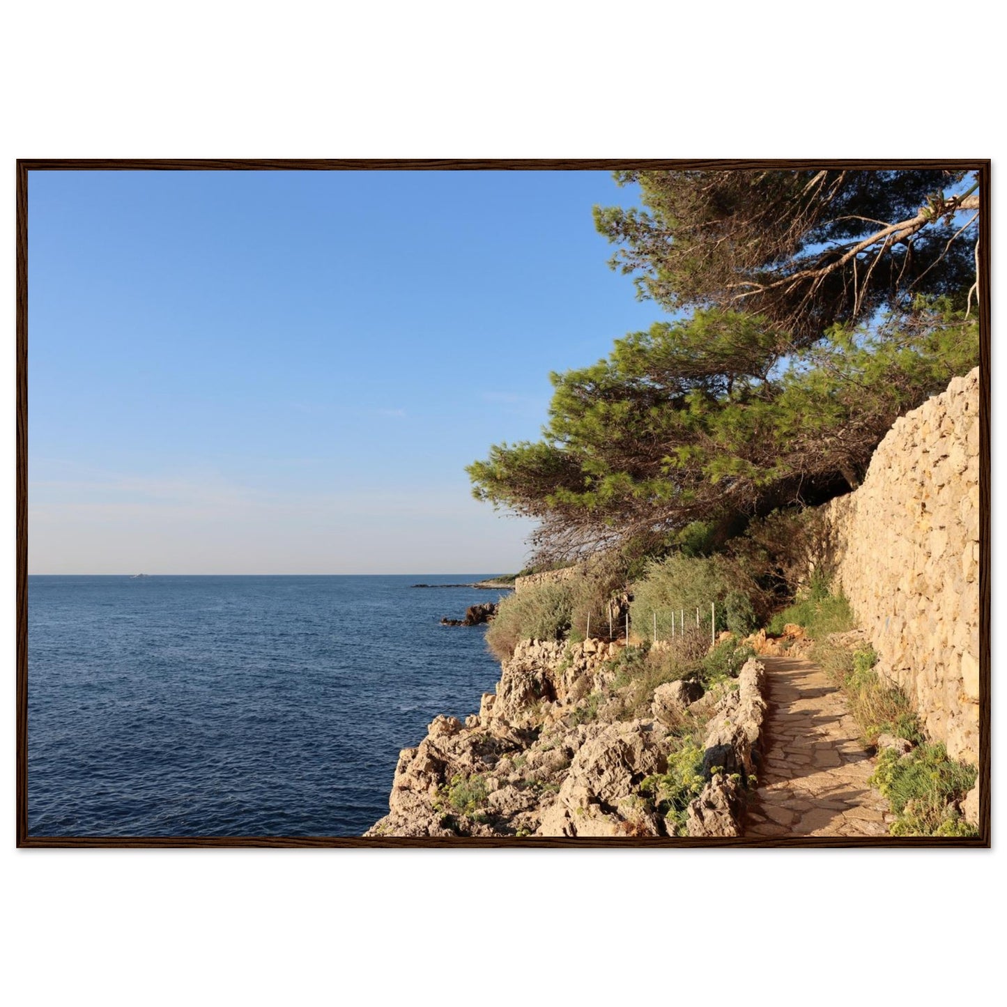 c24cb5f0-33a7-4aa7-baed-4f571060cb38