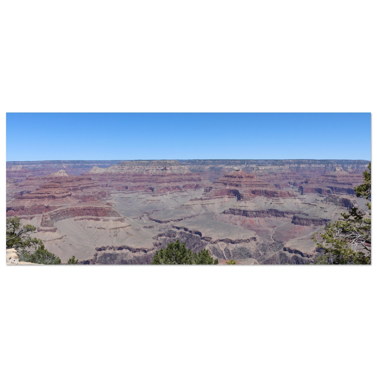 c27fe60d-8522-44e7-9f3e-35fdfd307c6c