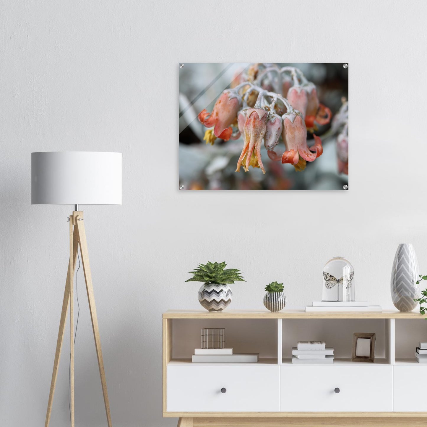 c4472370-c9c3-47a7-9157-d1b2e56cd7be