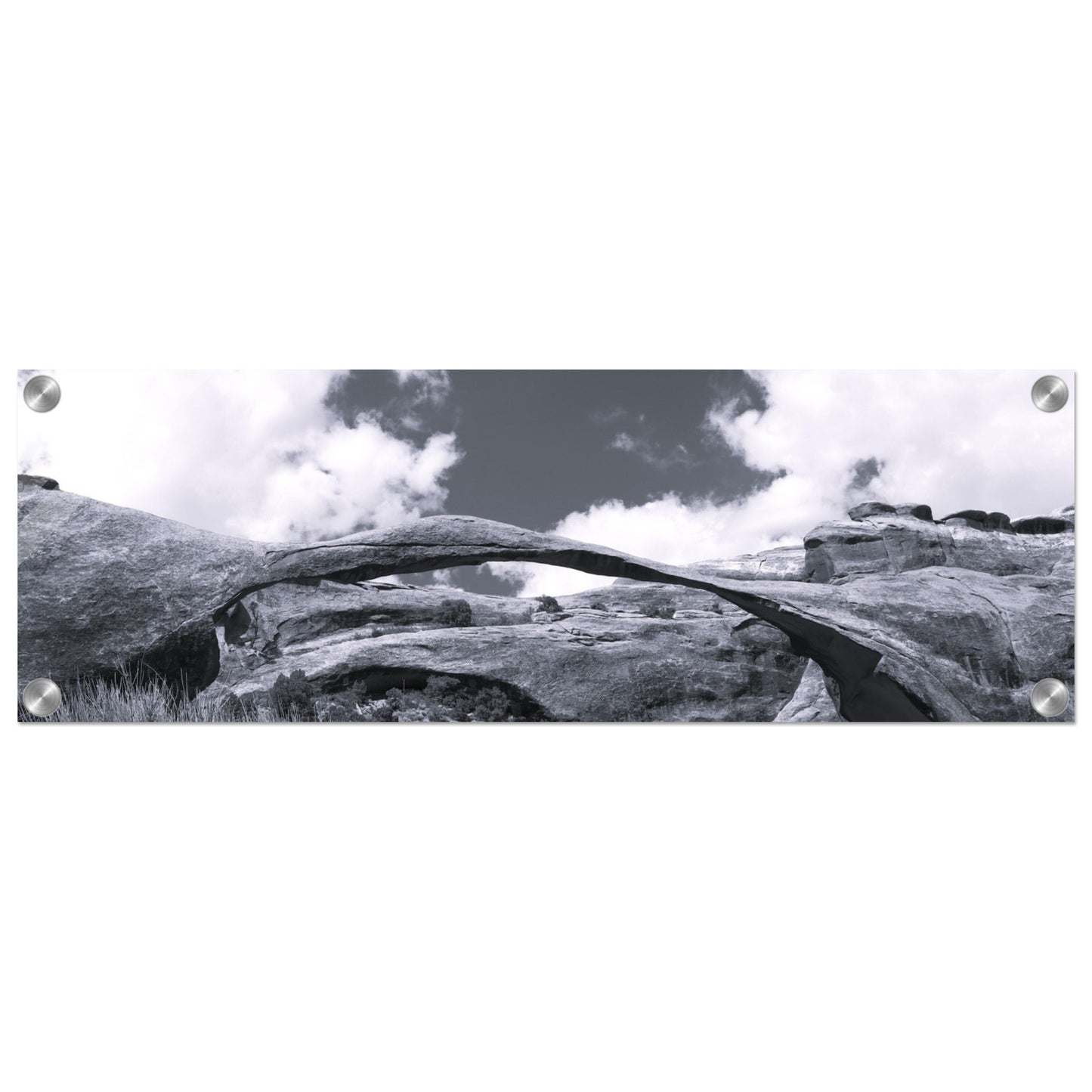 c4855a08-1fde-4931-ae5a-f6bbdd26ed45