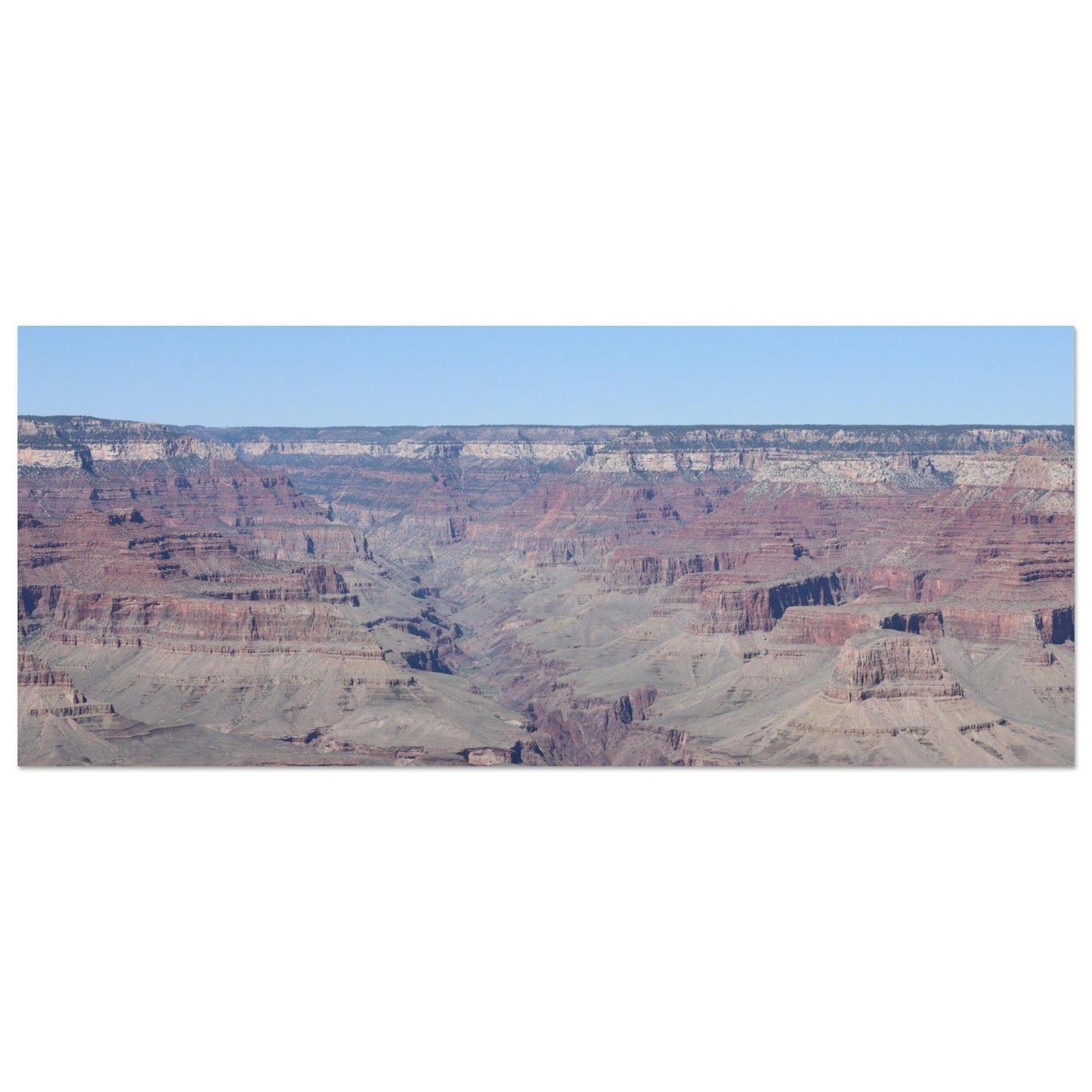 c4f43616-3b75-44bc-9151-0fae08442336