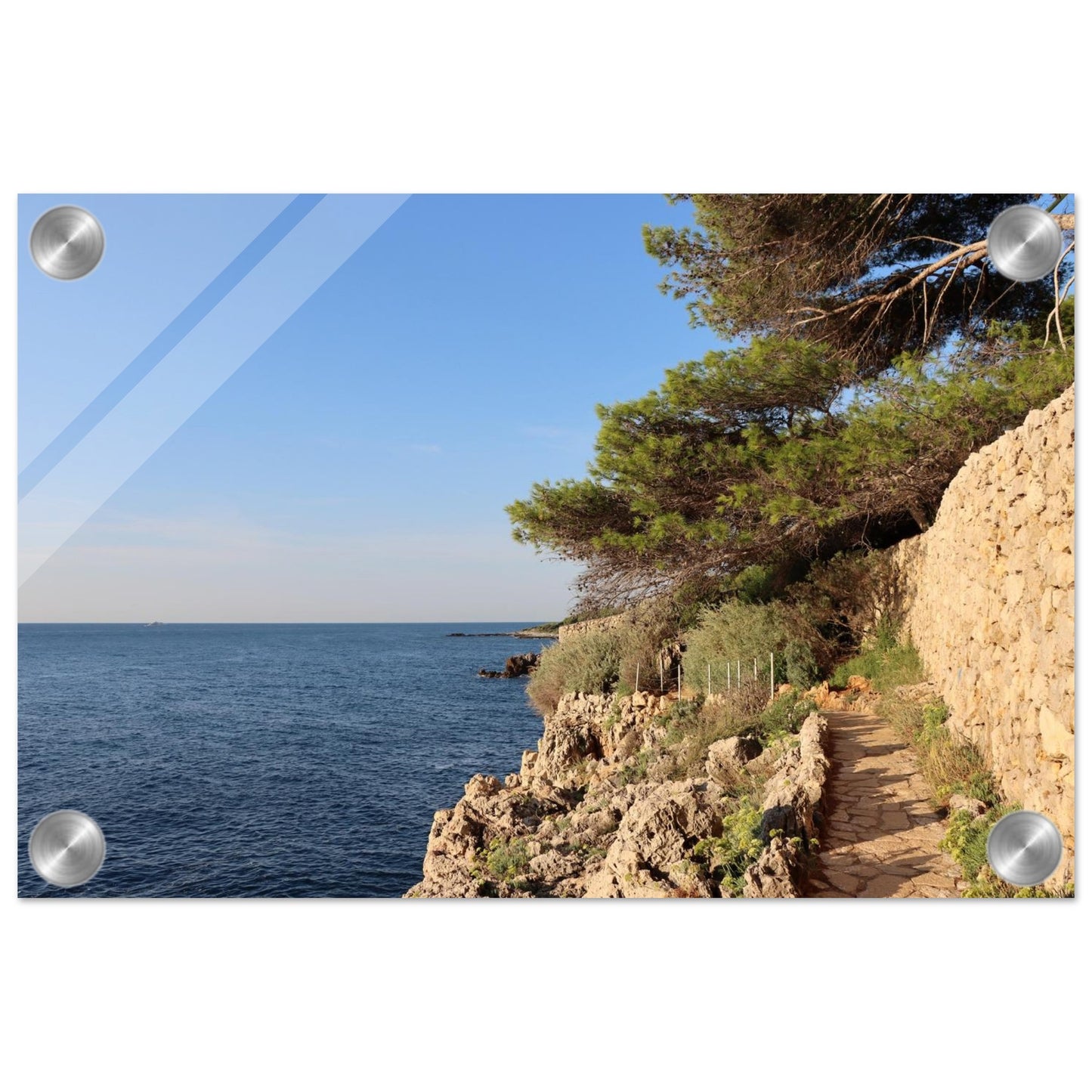 c6547e14-f5c3-445d-b758-ab693abb7e7b