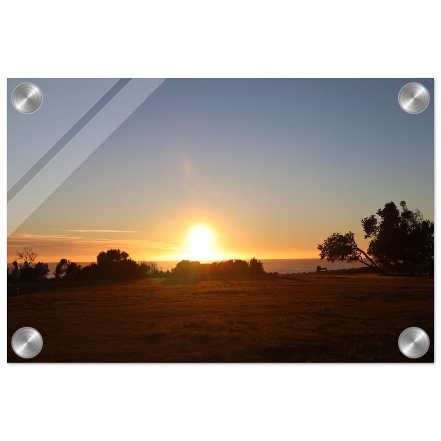 c6b48b53-afe7-42e6-9fb3-c524468ce32f