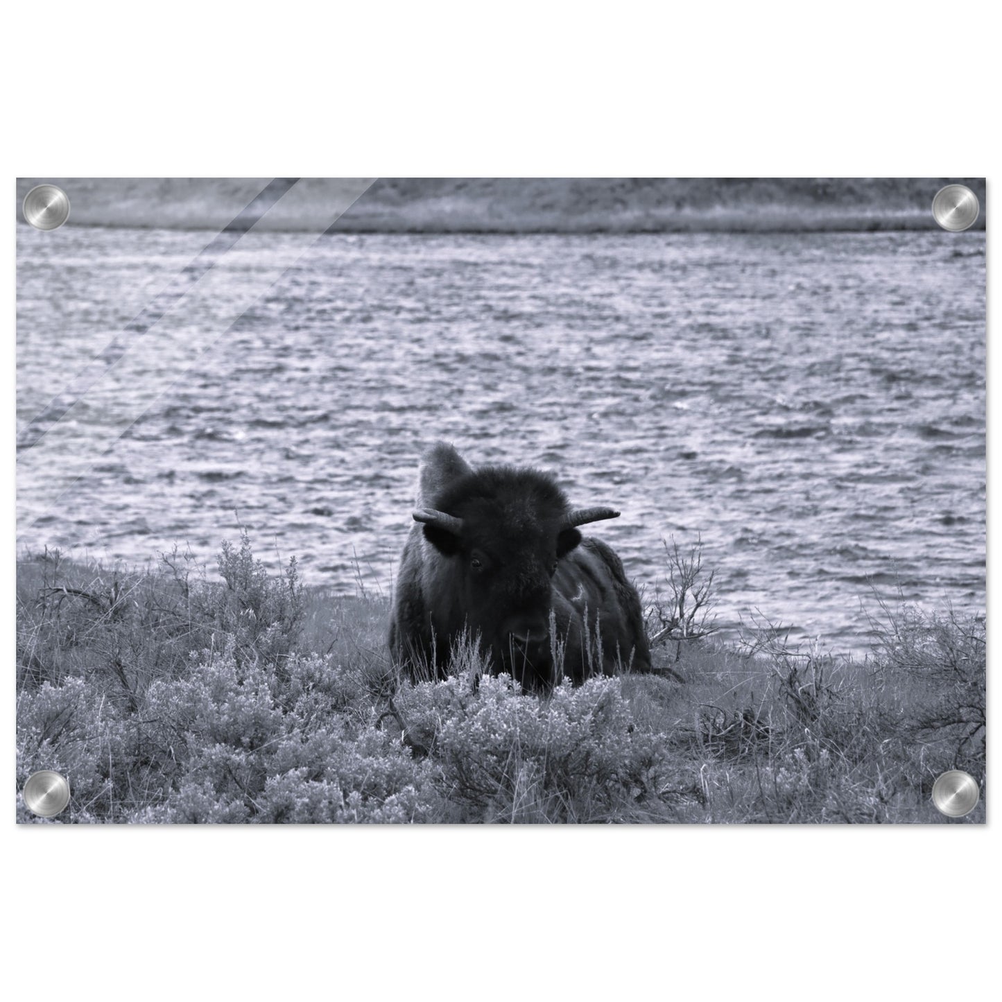 c742210d-43d8-4454-bf9e-0f72e0f0cc4b