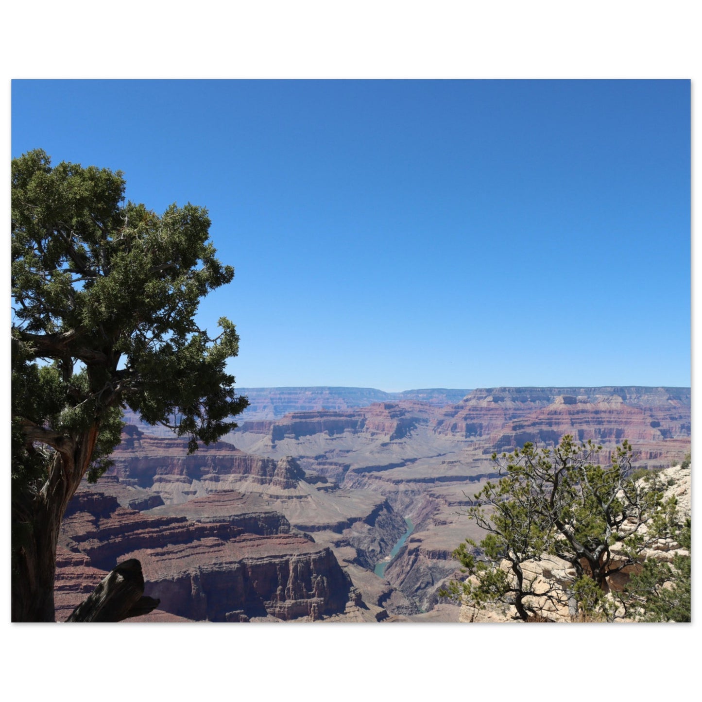 c7d58914-1c50-4ad0-9a04-77f28795c376