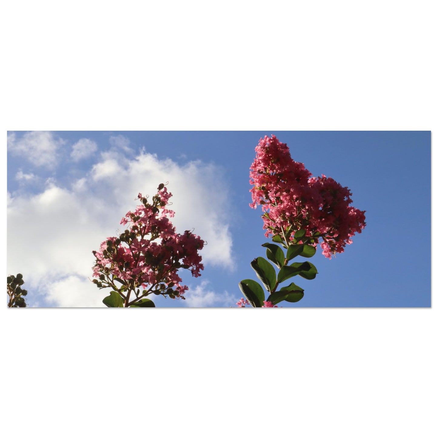 c8421ff6-5423-4c1b-8067-e5cd9bc01ef1