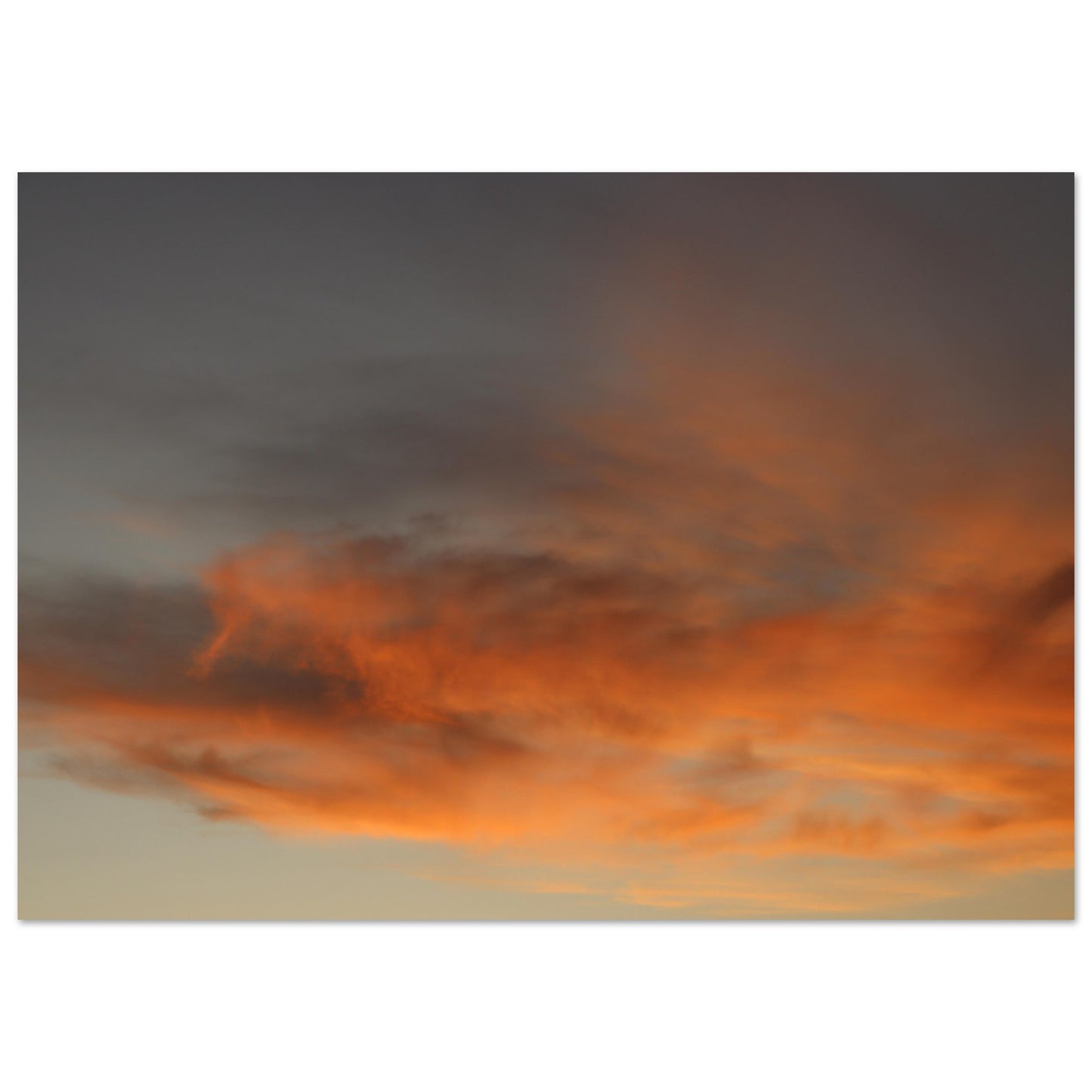 cd11591b-6846-48f0-8ae3-25dcd74c14f0