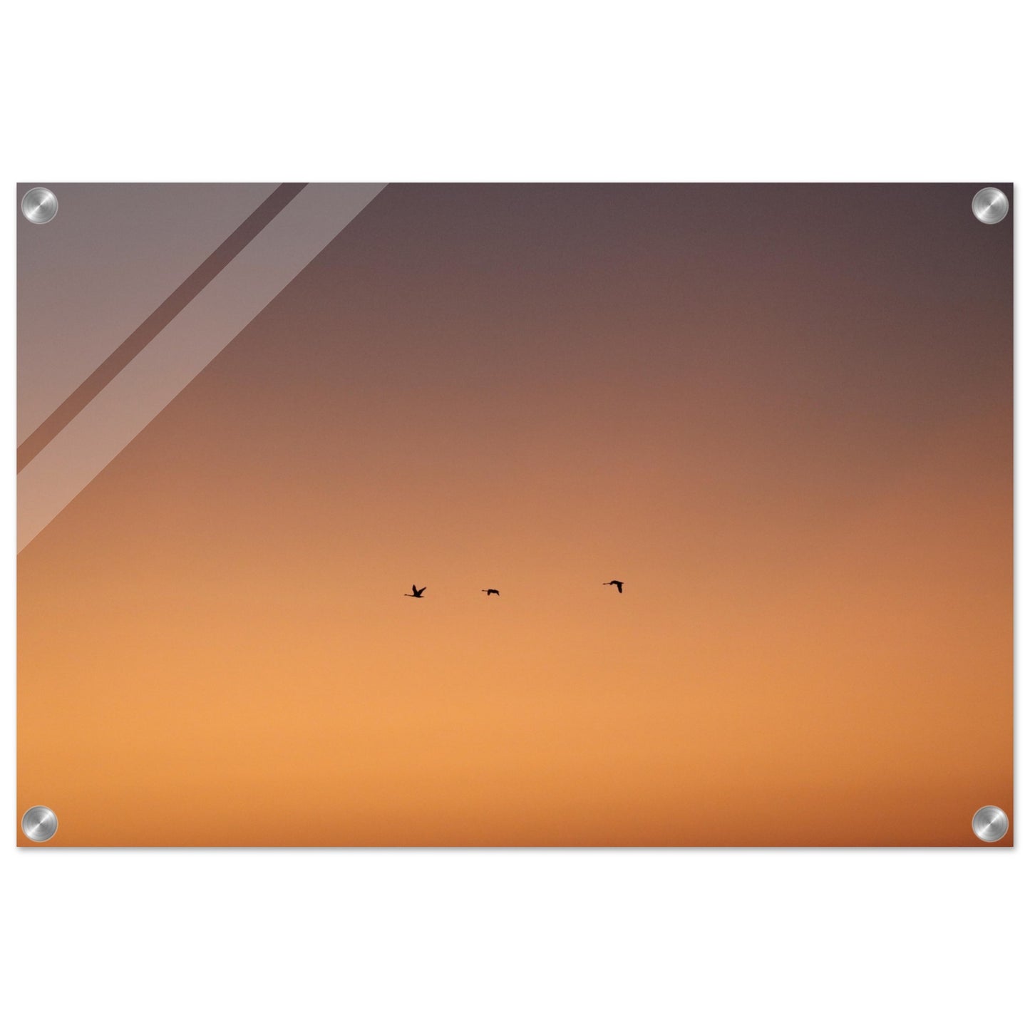 cdb75047-b438-4033-84f7-debde415f8cc