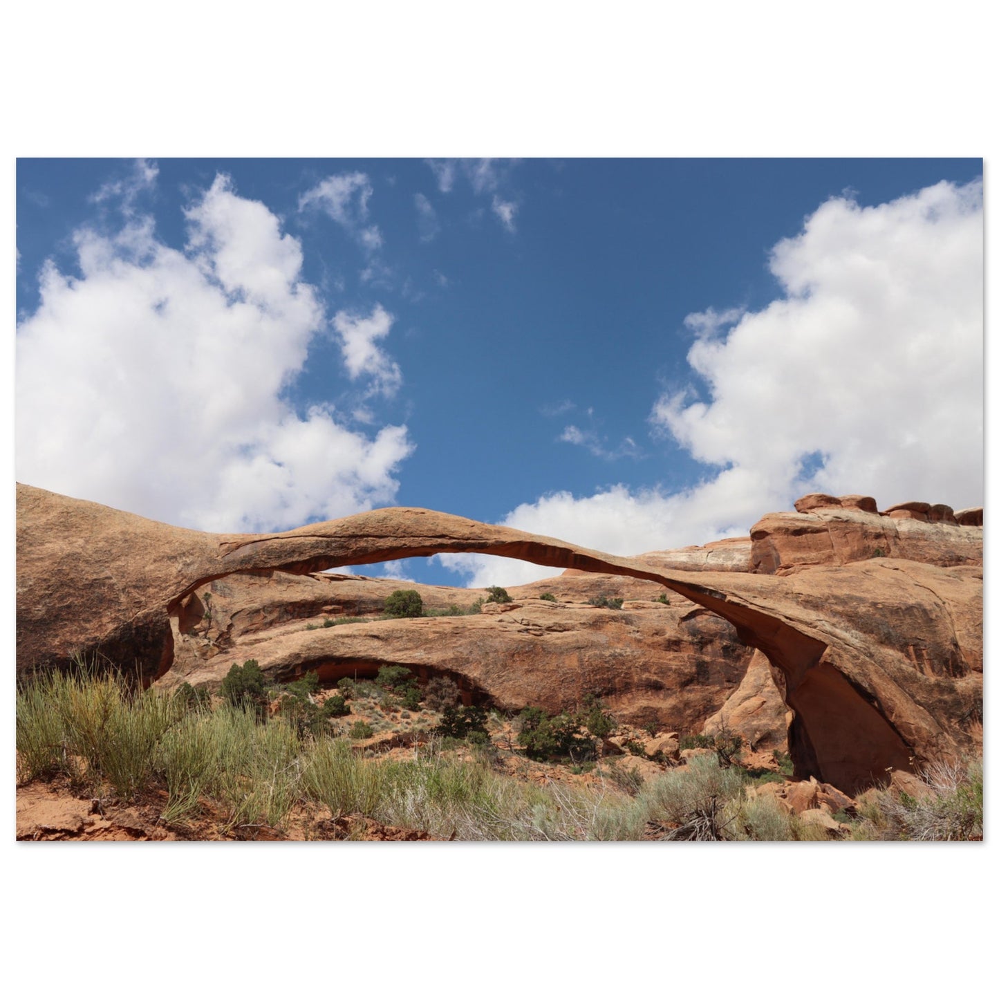 cdf38530-0660-4d0b-9560-200c35455ce6