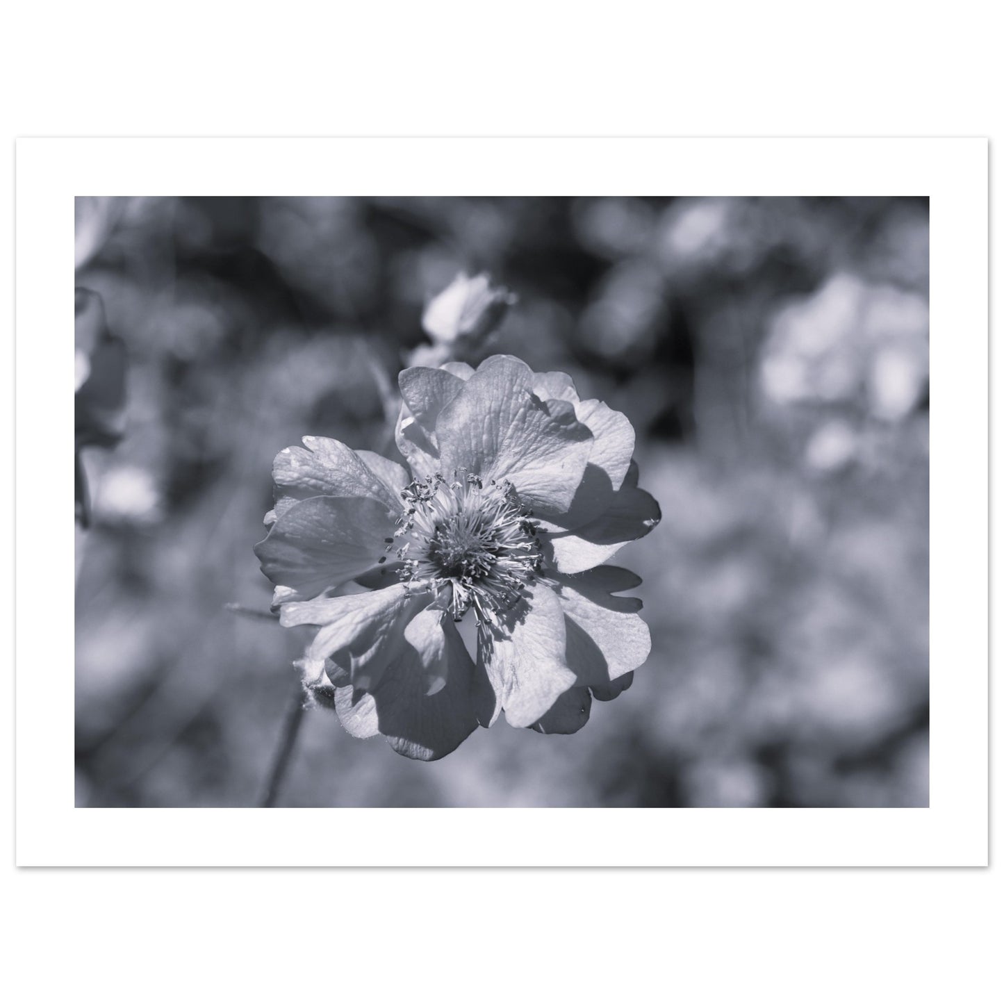 d0498333-fc98-4043-a5e8-da7f3184c318