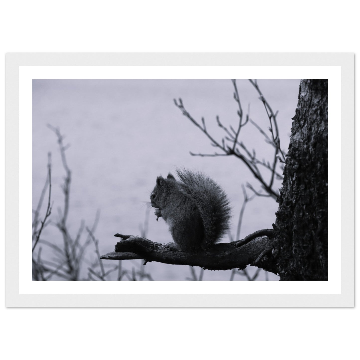 d48071d1-1ff0-4c2f-a620-c32aacf7177a
