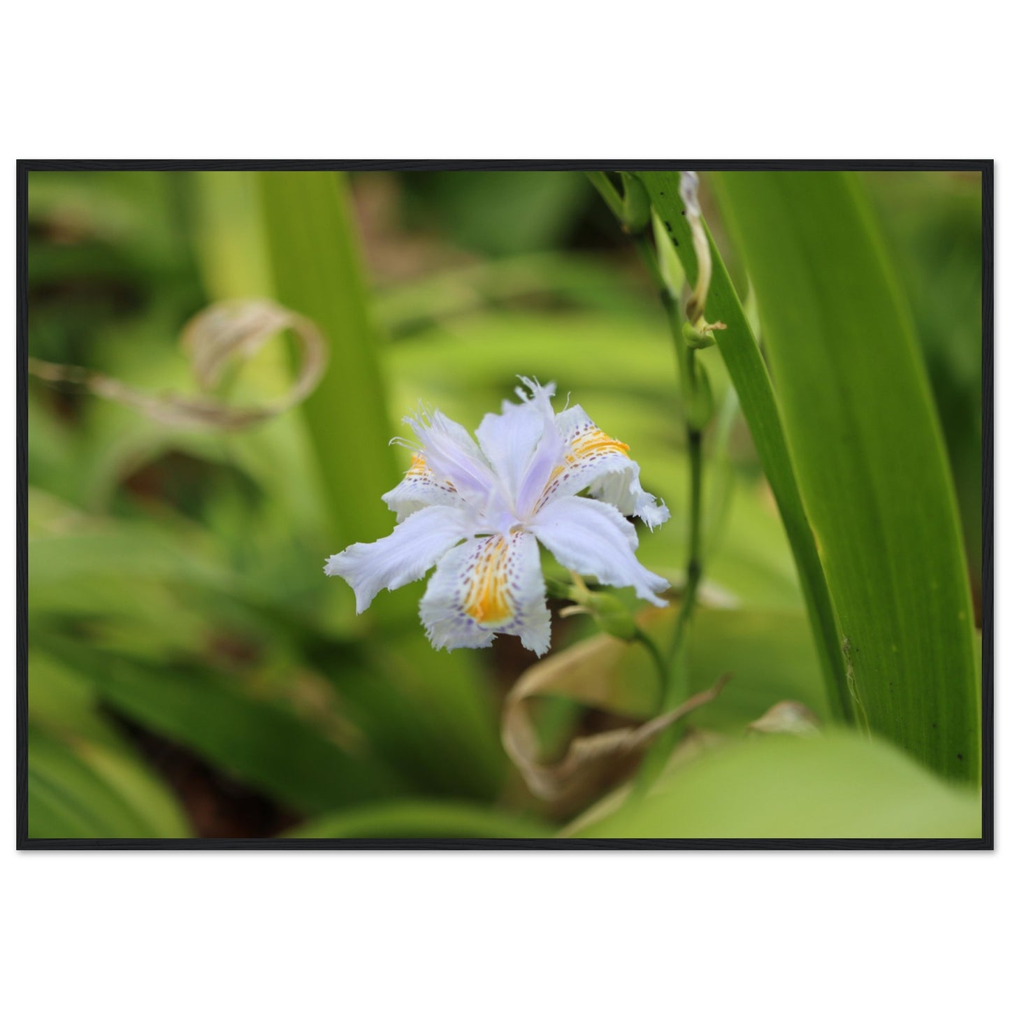 d48a1277-f145-4f18-aca0-ac625728ac1a
