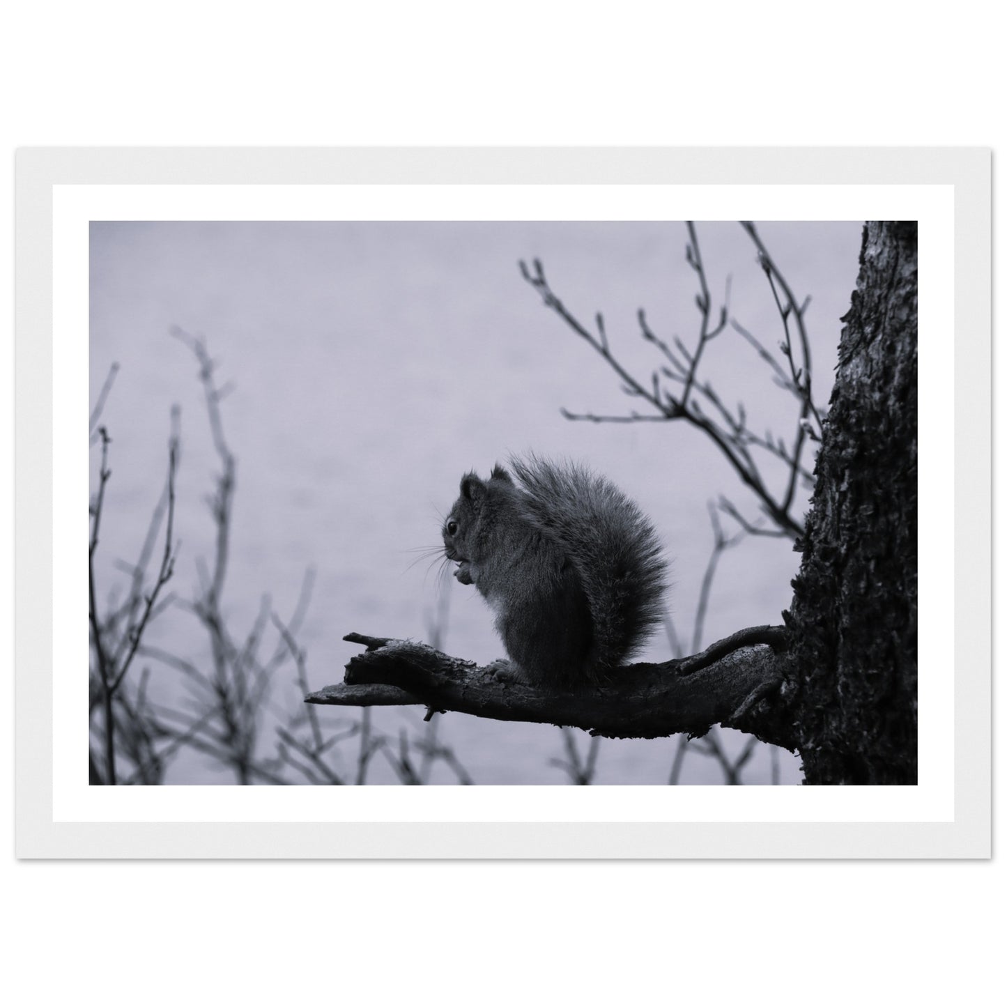 d61462fc-951e-4841-b23b-ff4f417269b0