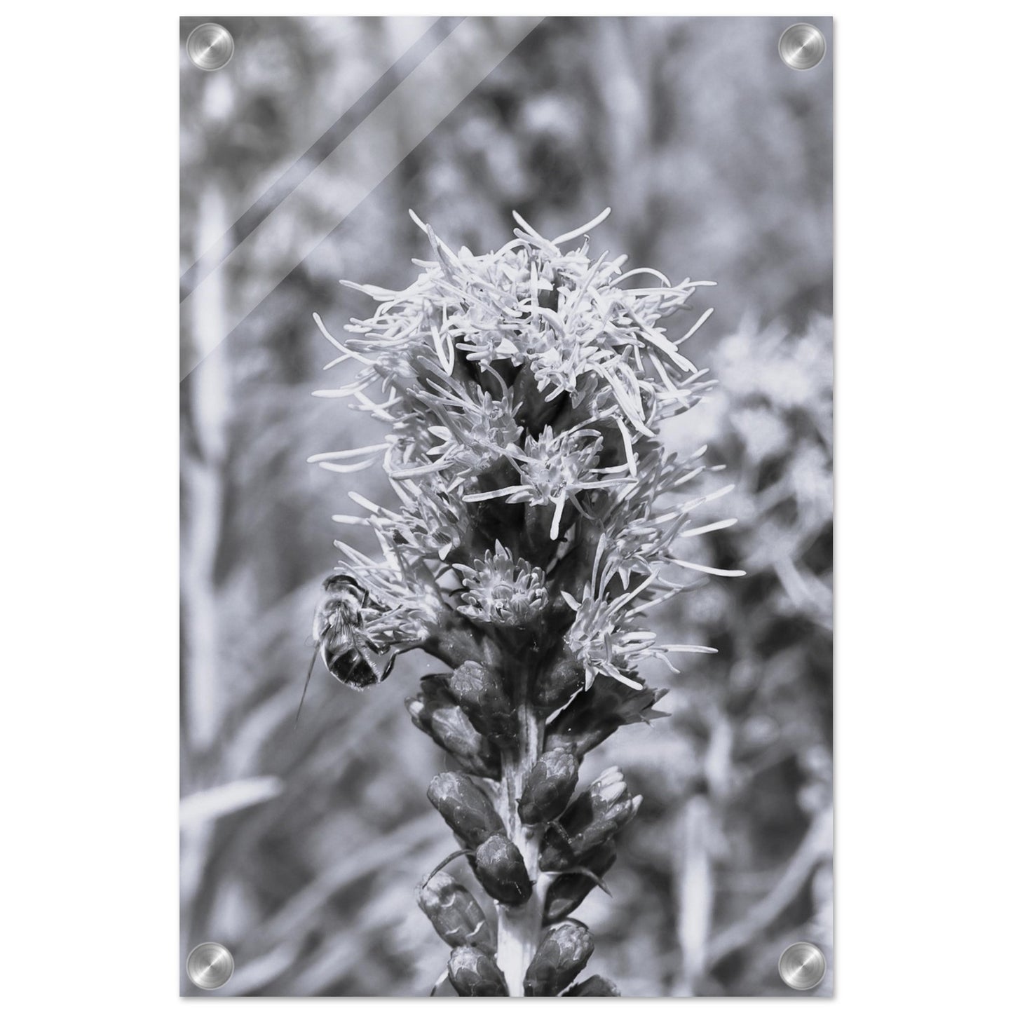 d72d5dbf-b30a-4ed8-bbda-a17012bbb6c1