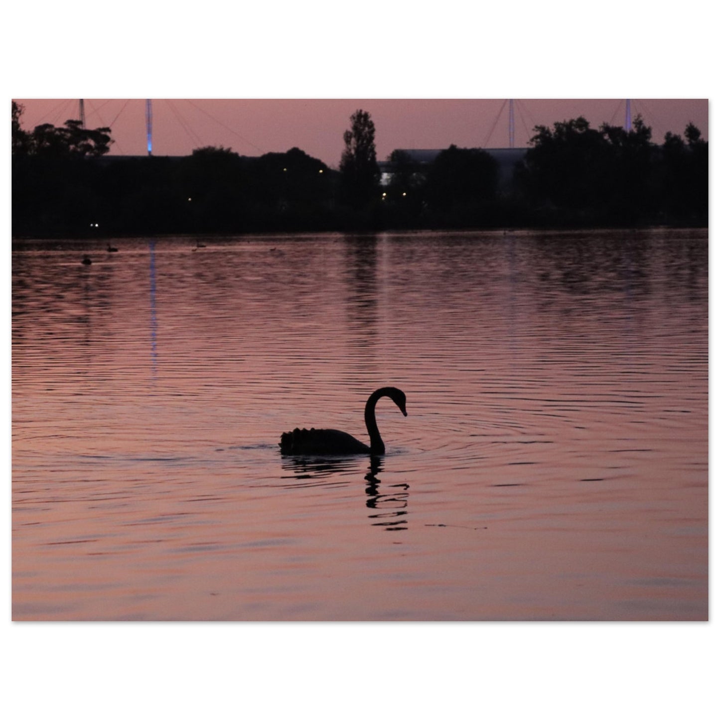 d7ce52b7-9a77-4b9d-9fb8-66281cc3c3ad