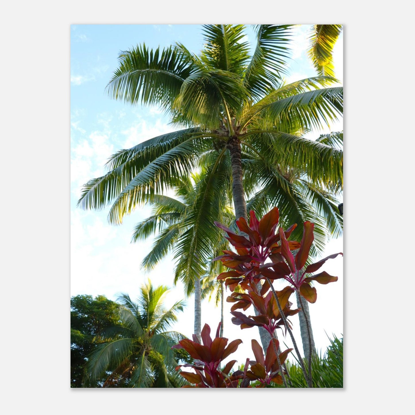 d7f749f3-603d-430b-bcef-042872f64687