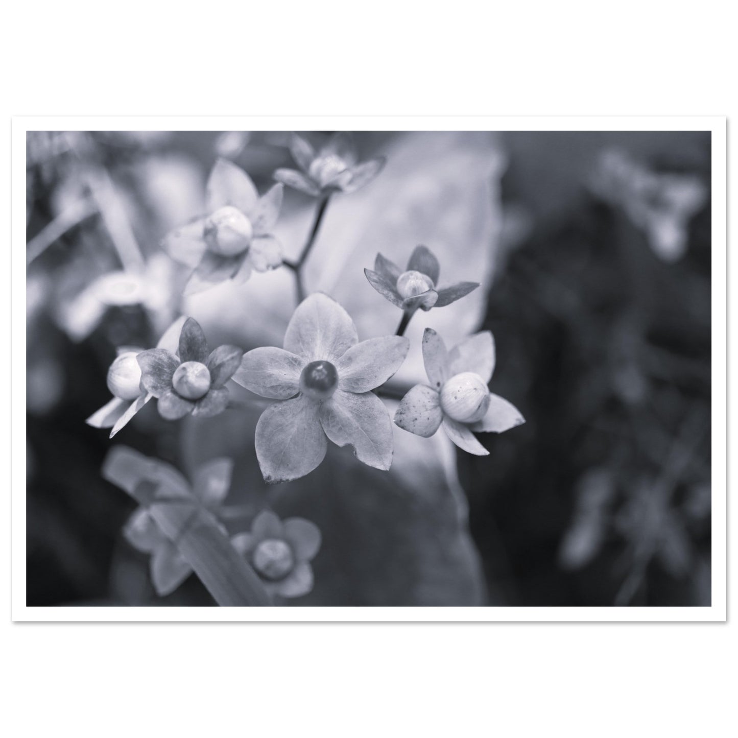d80dee9c-3e5b-4588-aa19-b6238830b5cc