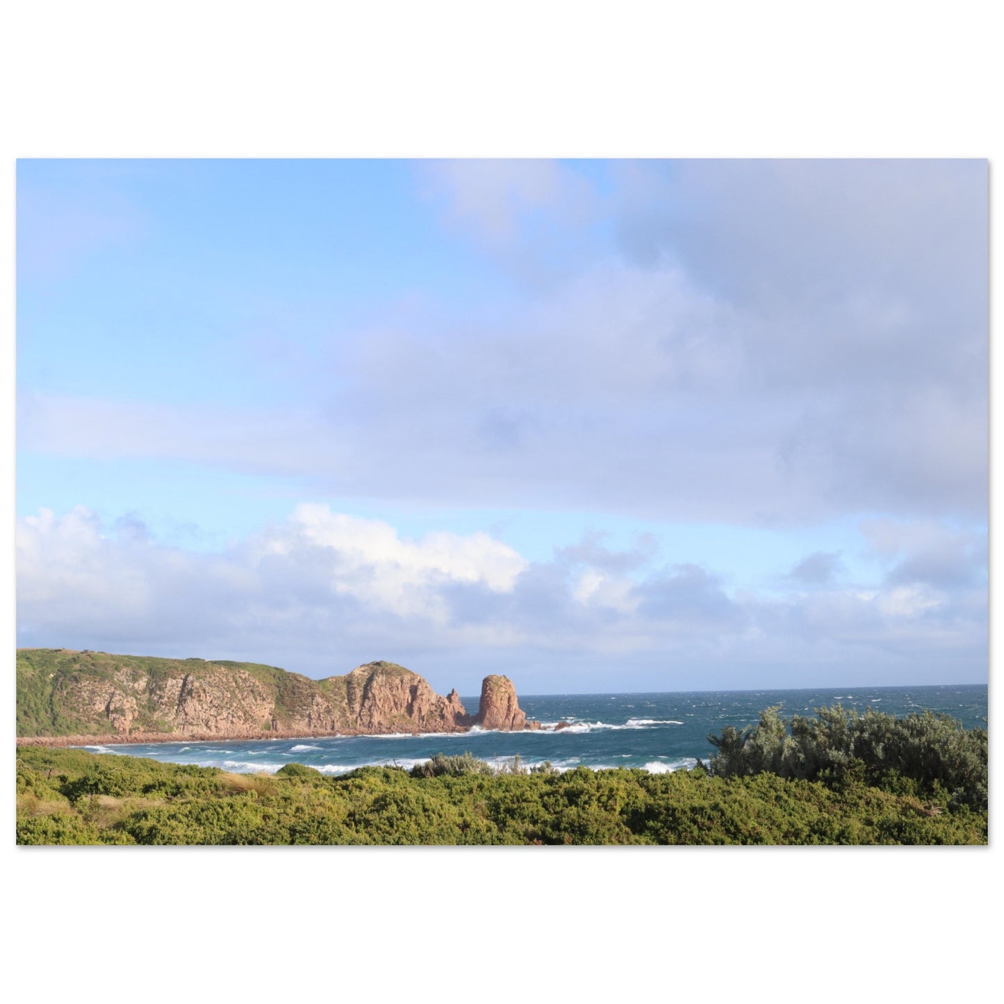 d80ee11c-c452-44cb-a554-b46efc34c301