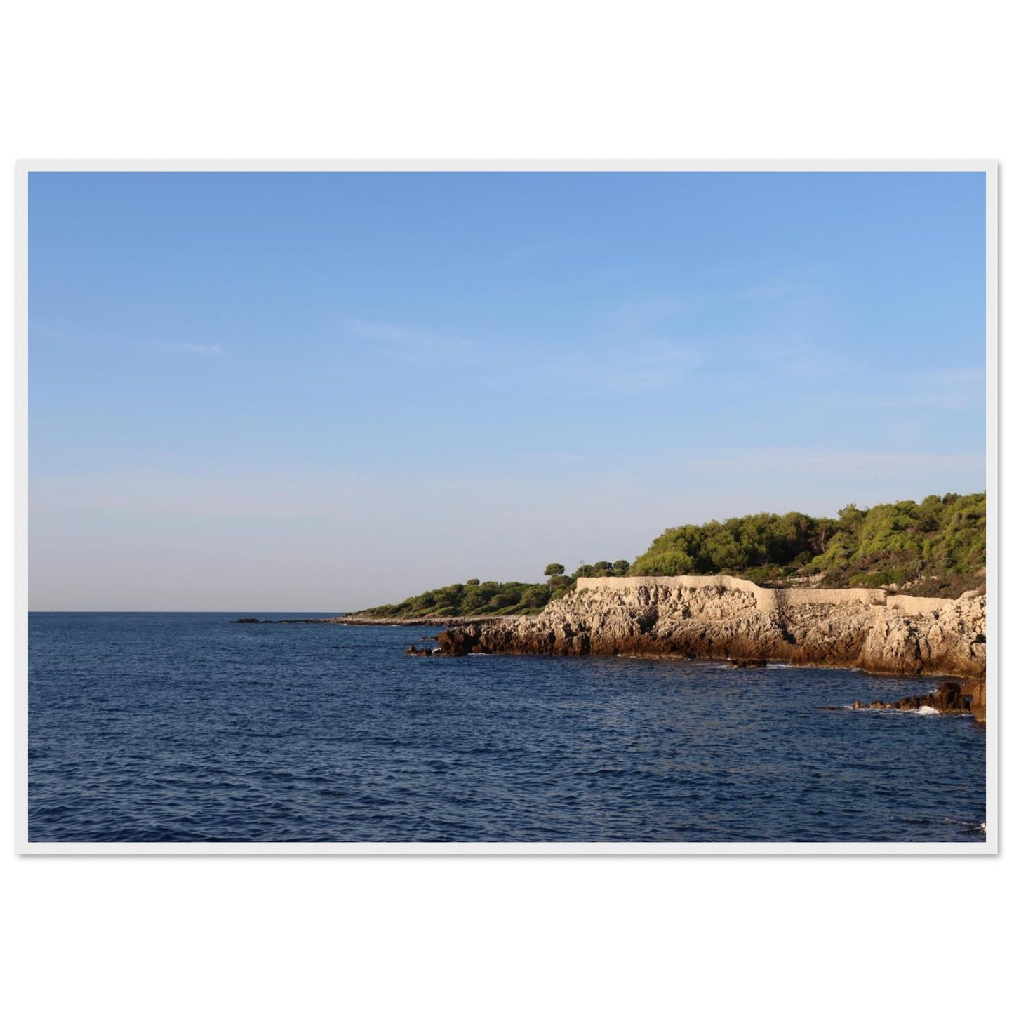 d883a4f1-f948-49db-afed-3d93d852c24c