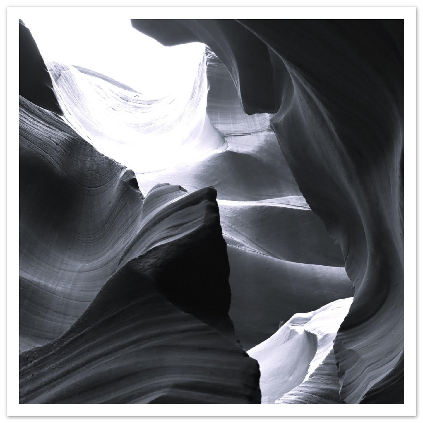 d8950324-e195-4901-866d-985523f331bf