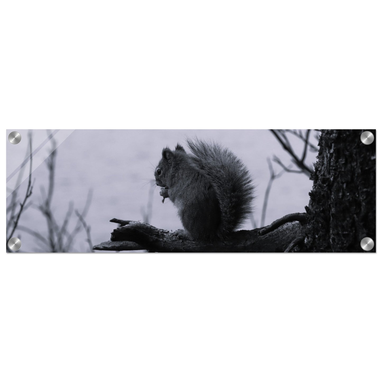 d9014800-05ed-412e-a535-90c75a6e1c8e