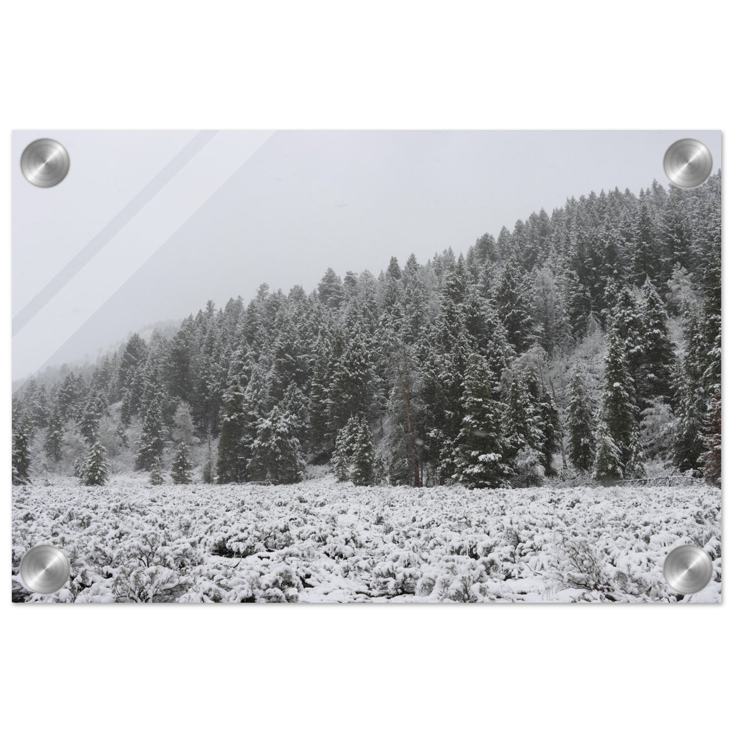 d906f090-b45b-4707-882e-0fc3a1bcebe6