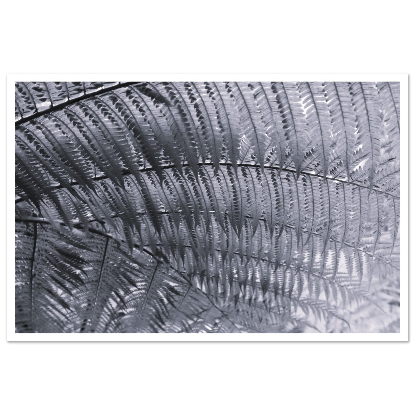 defa6e84-6a15-4830-8be9-8fd9d104b3f0