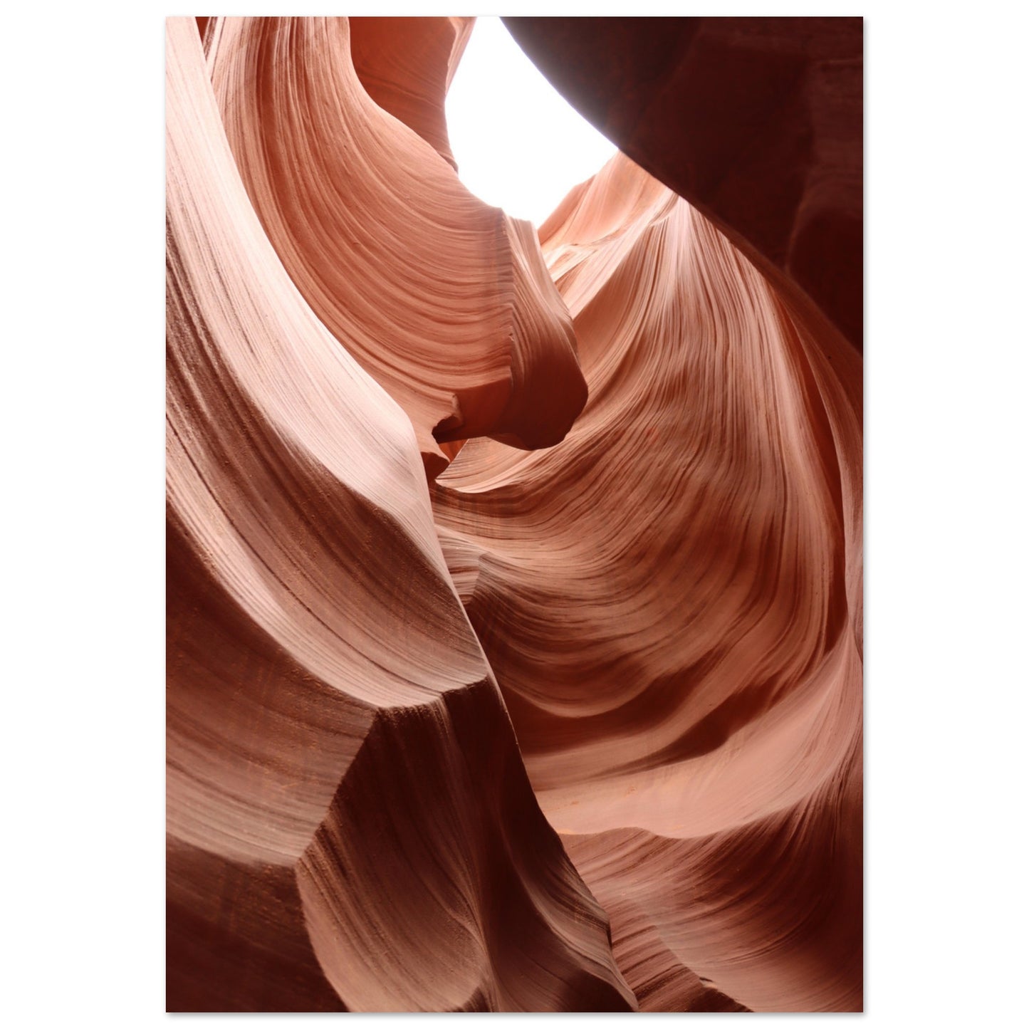 e054b4b4-f047-40b7-8587-d6fccdb683c8