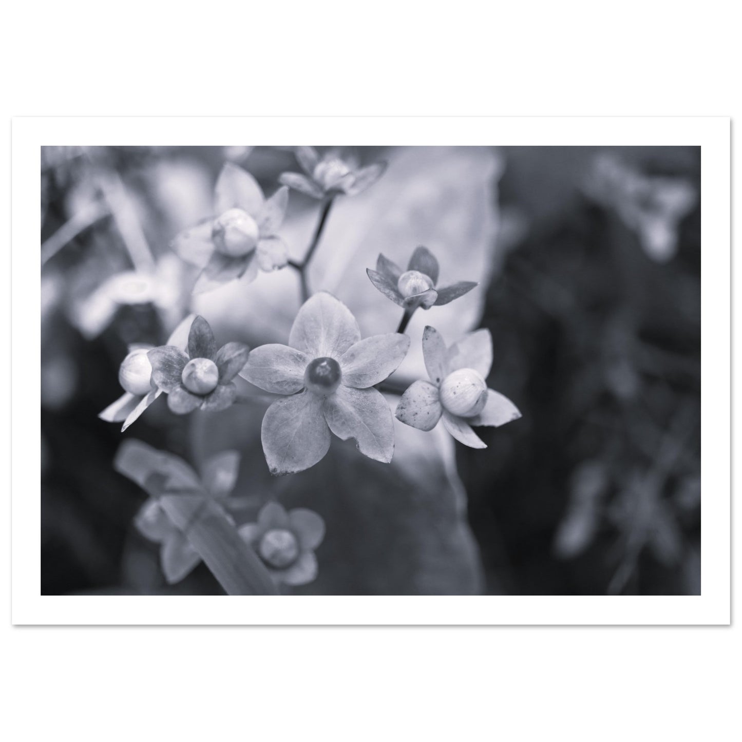 e115c664-80de-49b4-b33a-646ab1bb756d