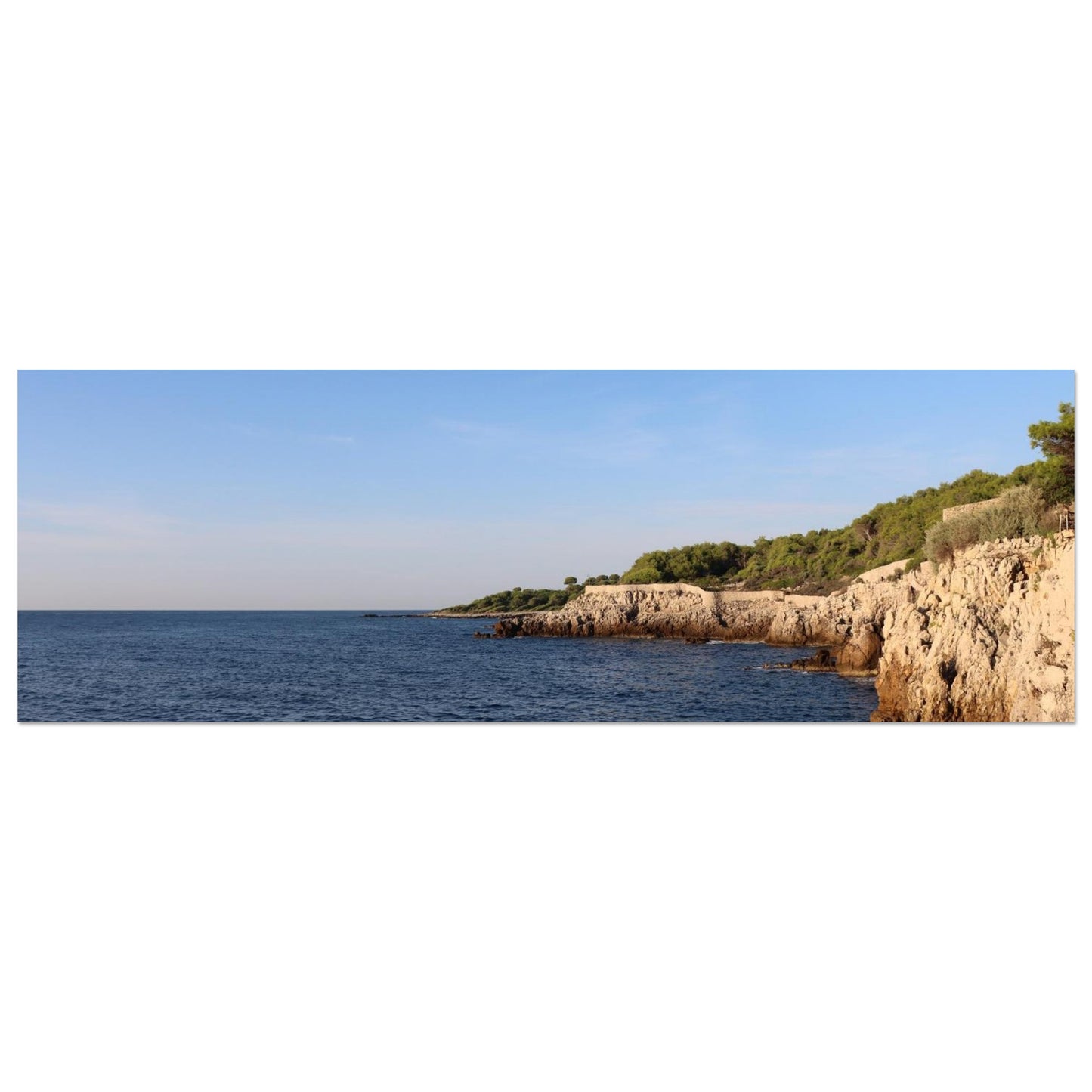 e1bf00d9-72b9-4881-98a5-6417b9fc1d68