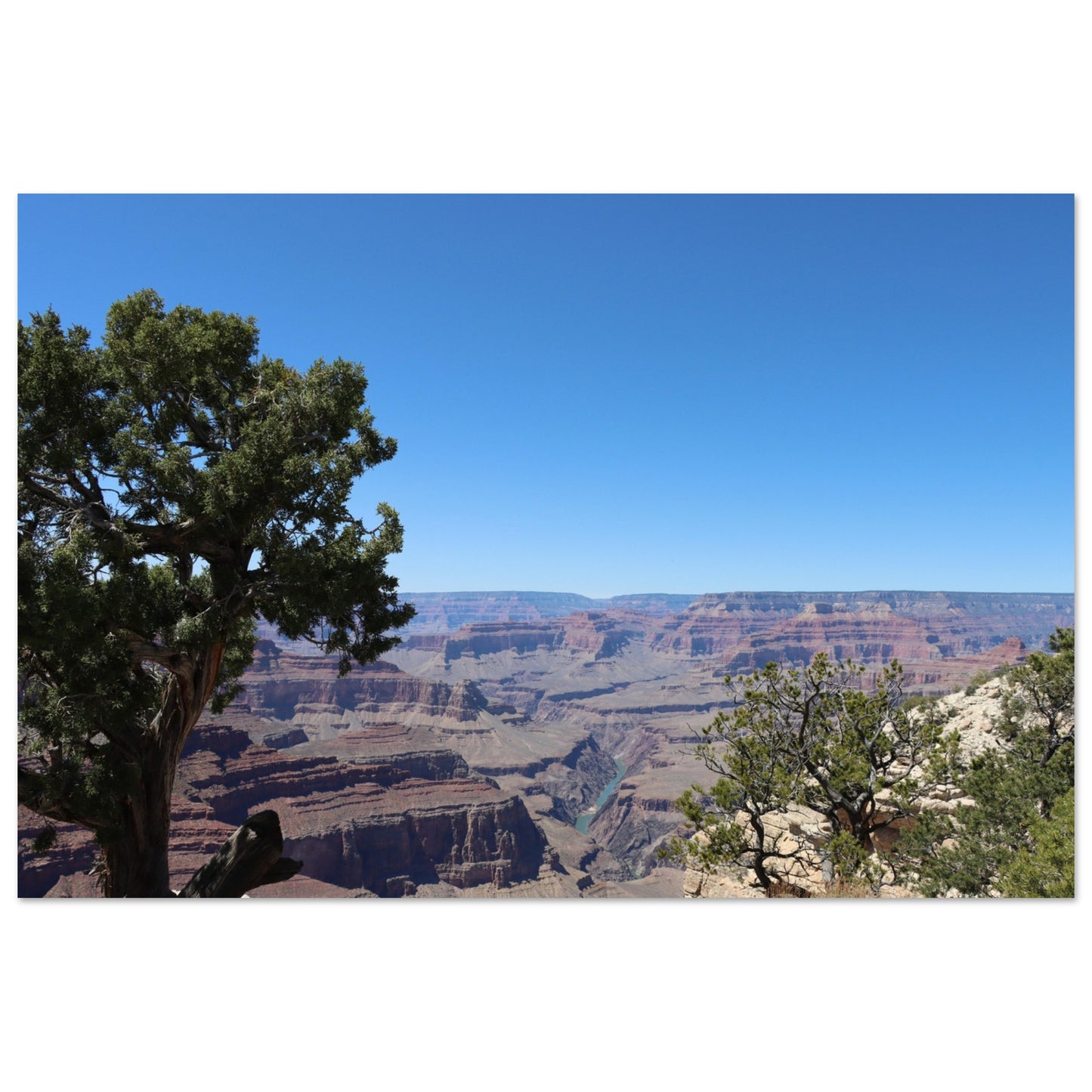 e1d66935-3a3e-488a-bfce-6e71b3ba90be