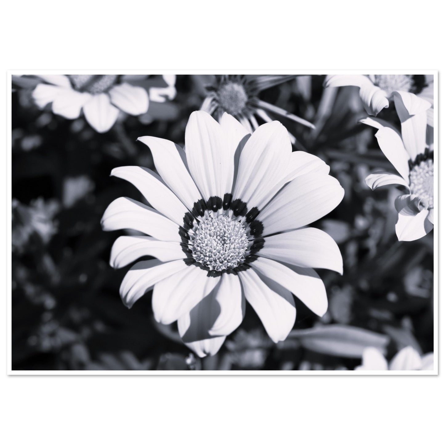e52ef6eb-7faa-4130-b43b-e4d785ba041a