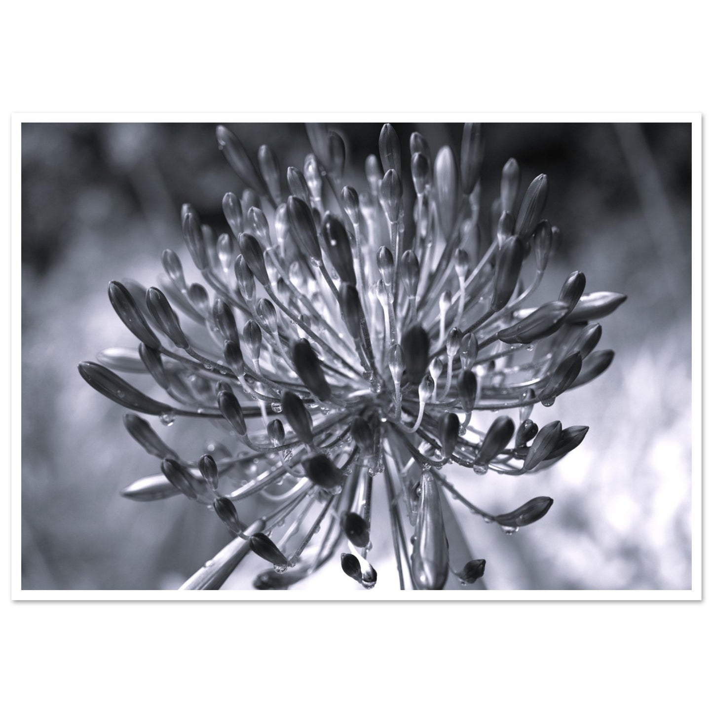 e6102945-9121-4719-8d25-0cdf4bbfe653