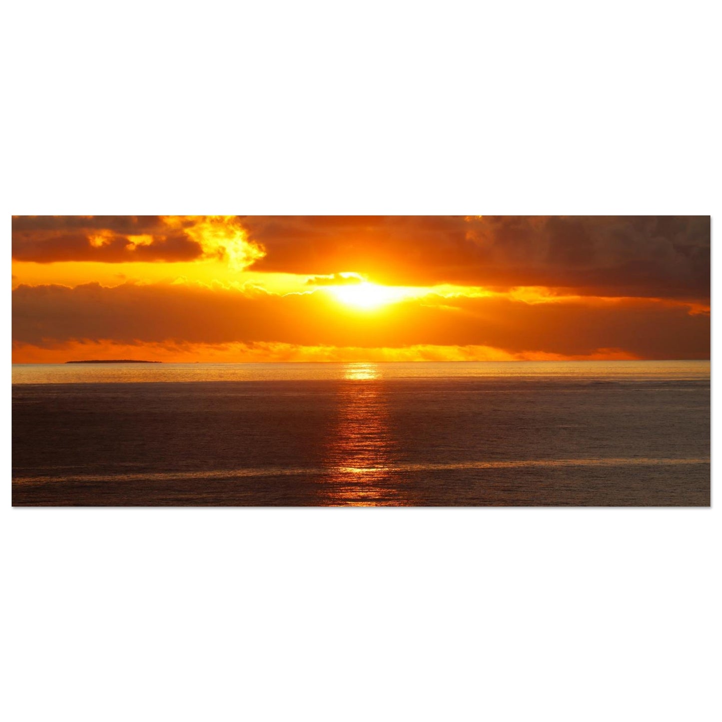 f0efa493-3aa1-4144-b9f9-d5910c5505ff