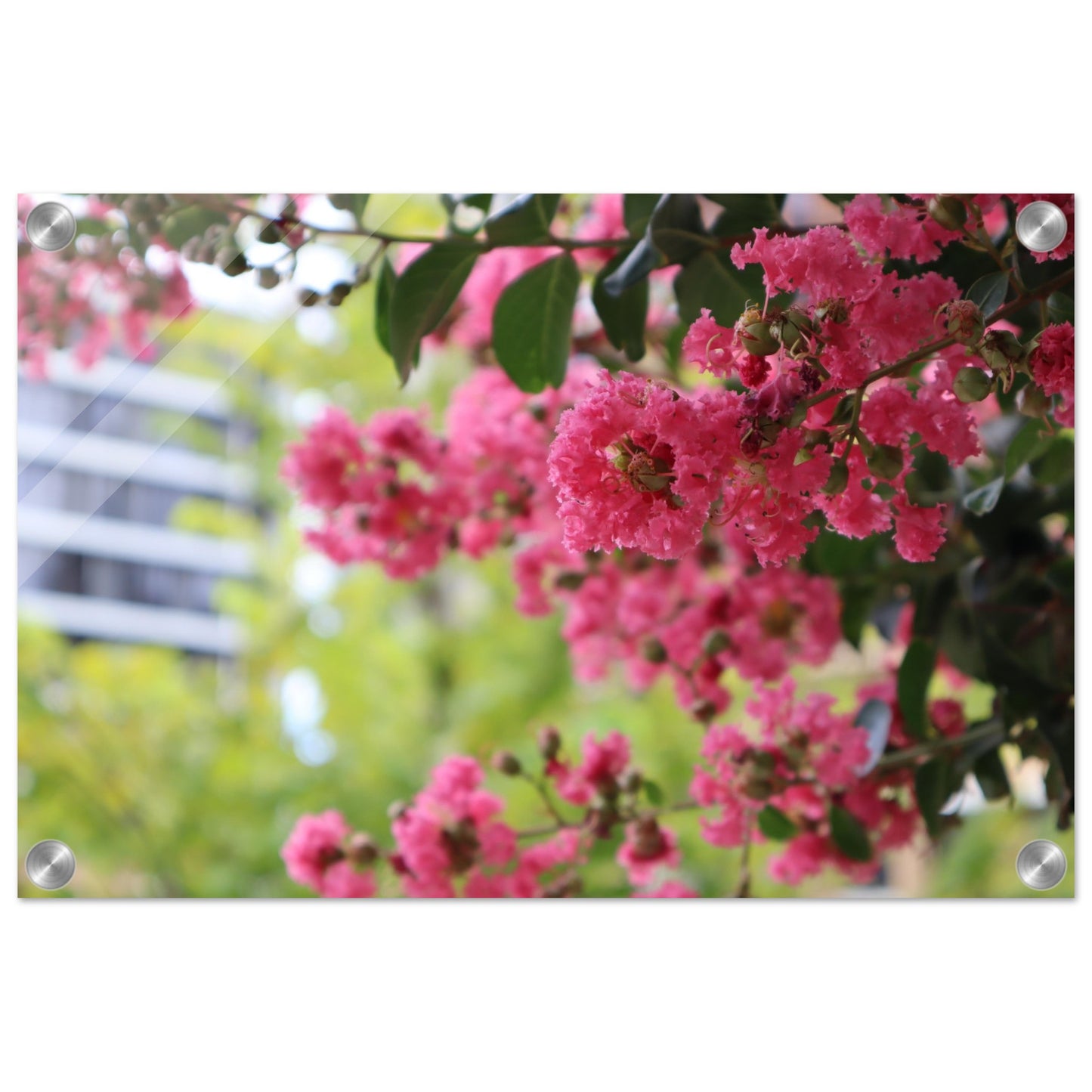 f102dc0f-c4cd-4ff1-8e0a-f3971a8720b3