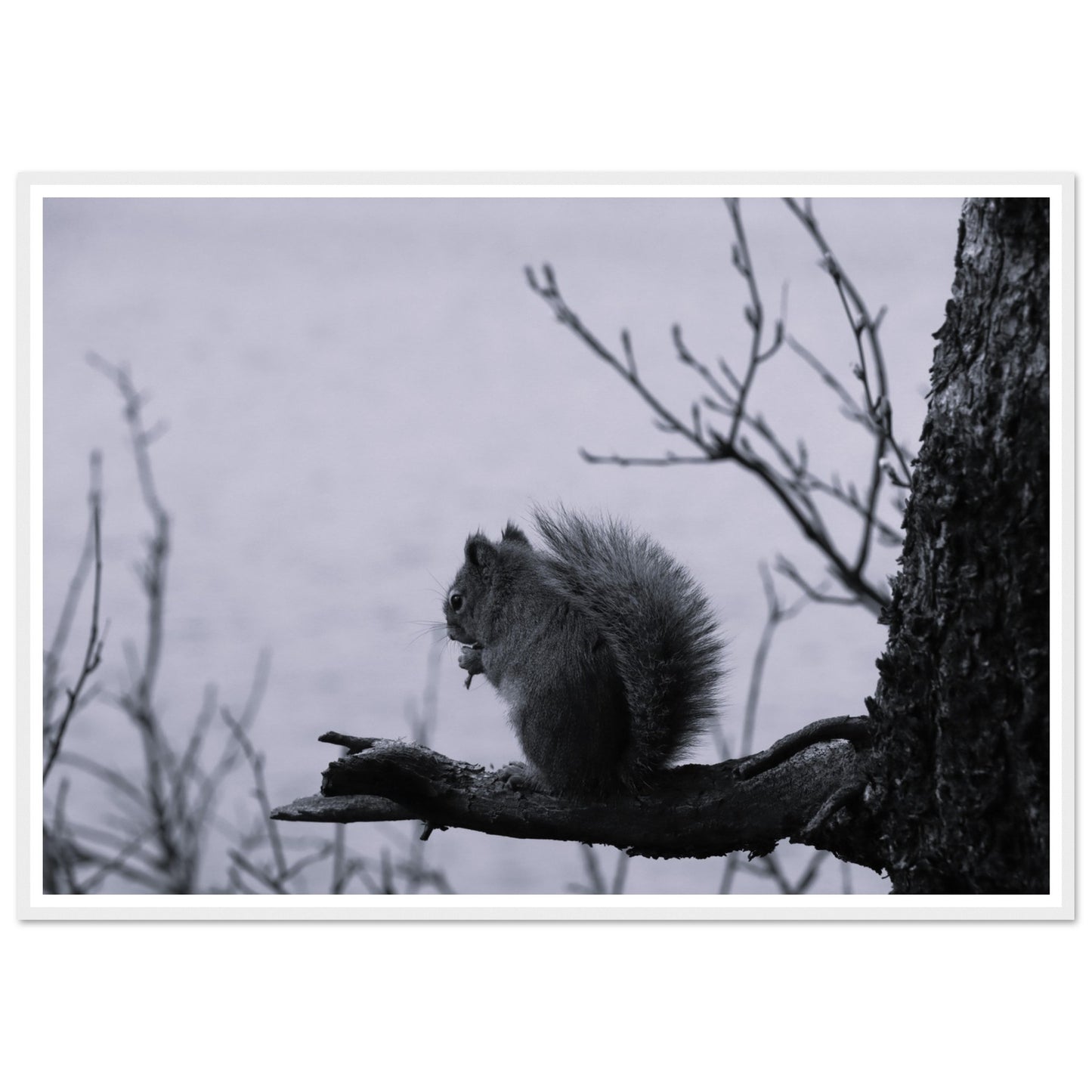 f1fed1d2-e015-48f7-a733-cdcde1e2c2f1