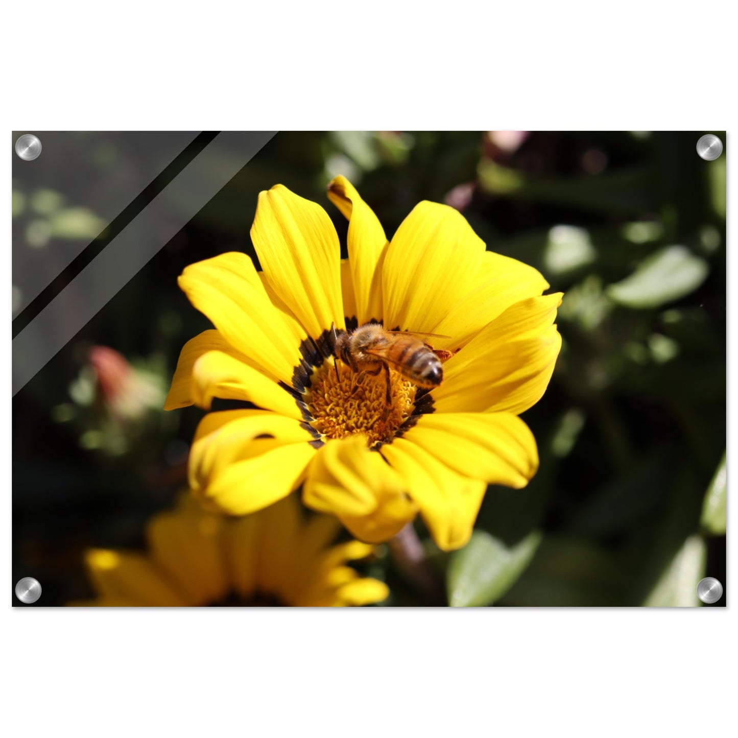 f277069e-74b0-44ed-9aab-2950cf0bd14a