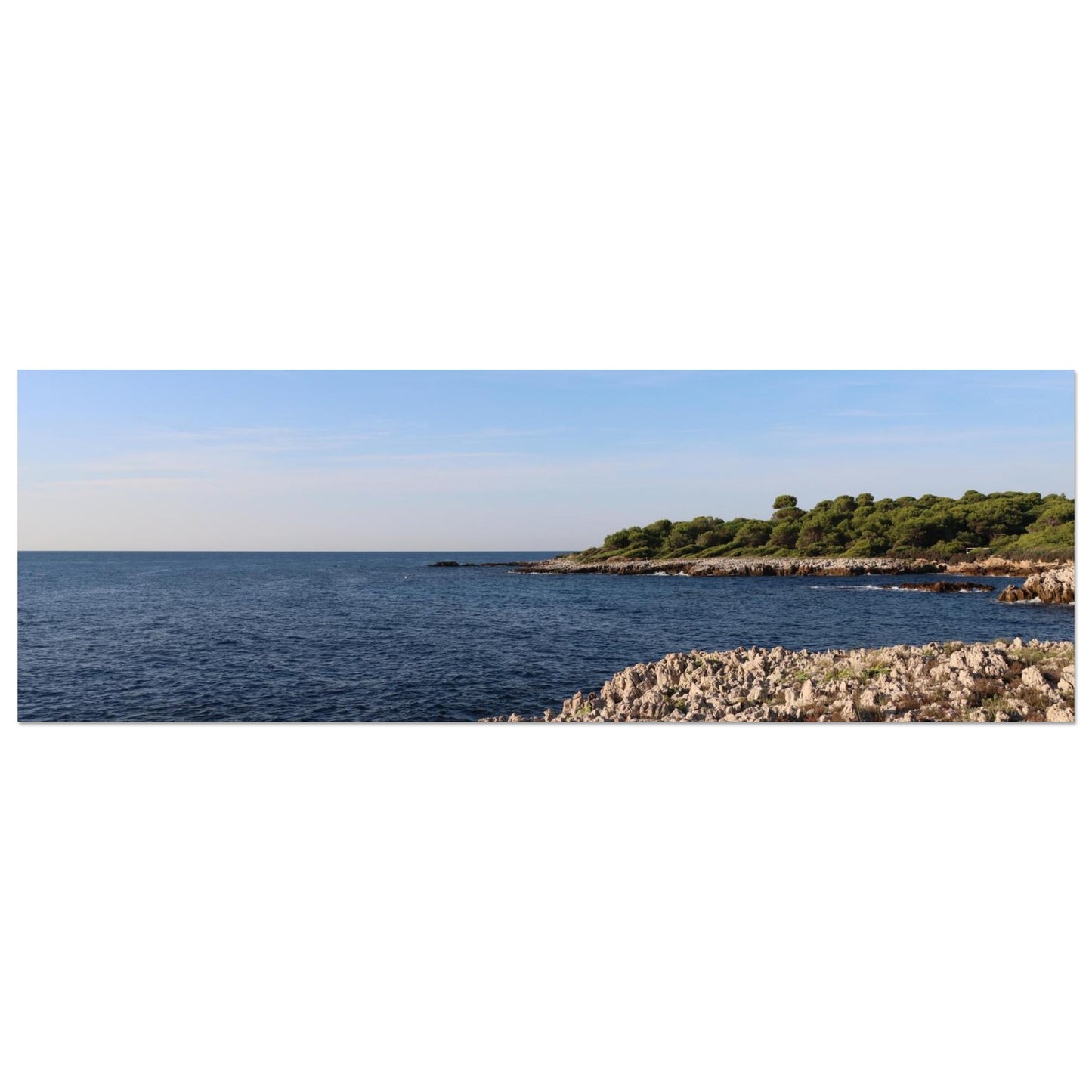 f5ae1704-ee66-4c2b-a1ab-c248b3cea588