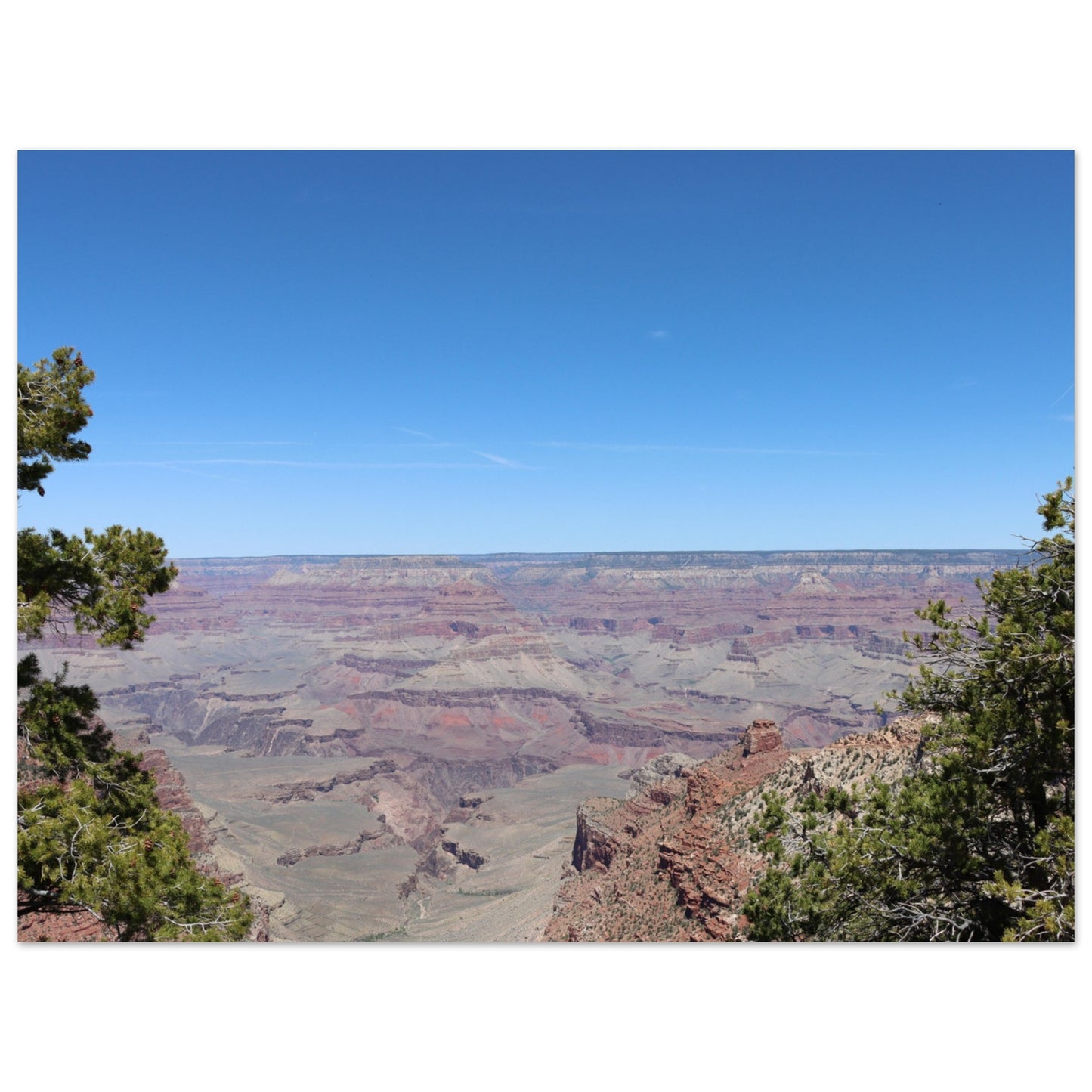 f6fa8fd1-8515-4f1f-8b8d-db2f4a2ae2f6